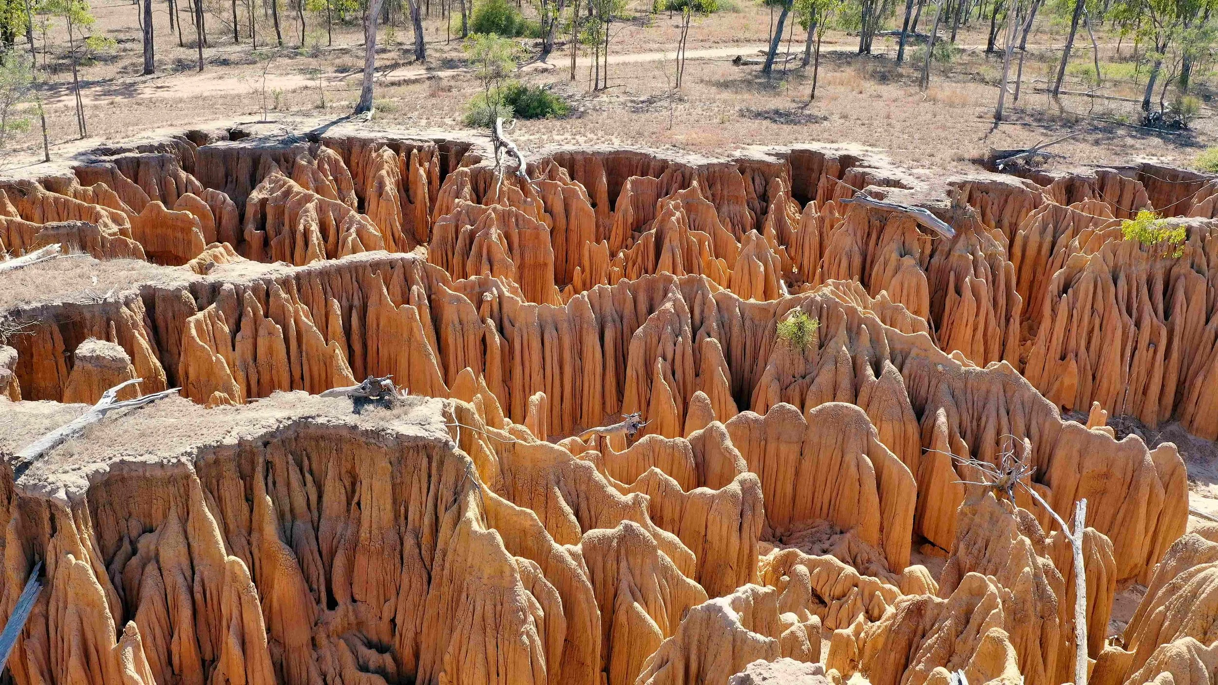 Alluvial gully erosion