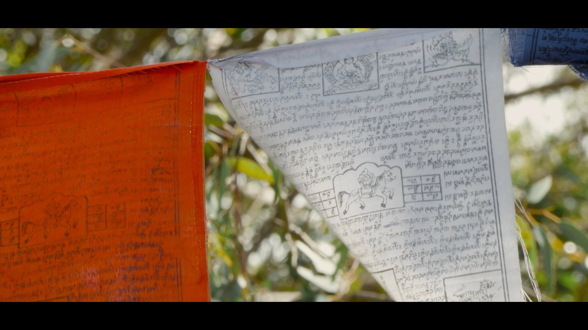 Close-up of colorful prayer flags hanging outdoors with trees in the background.
