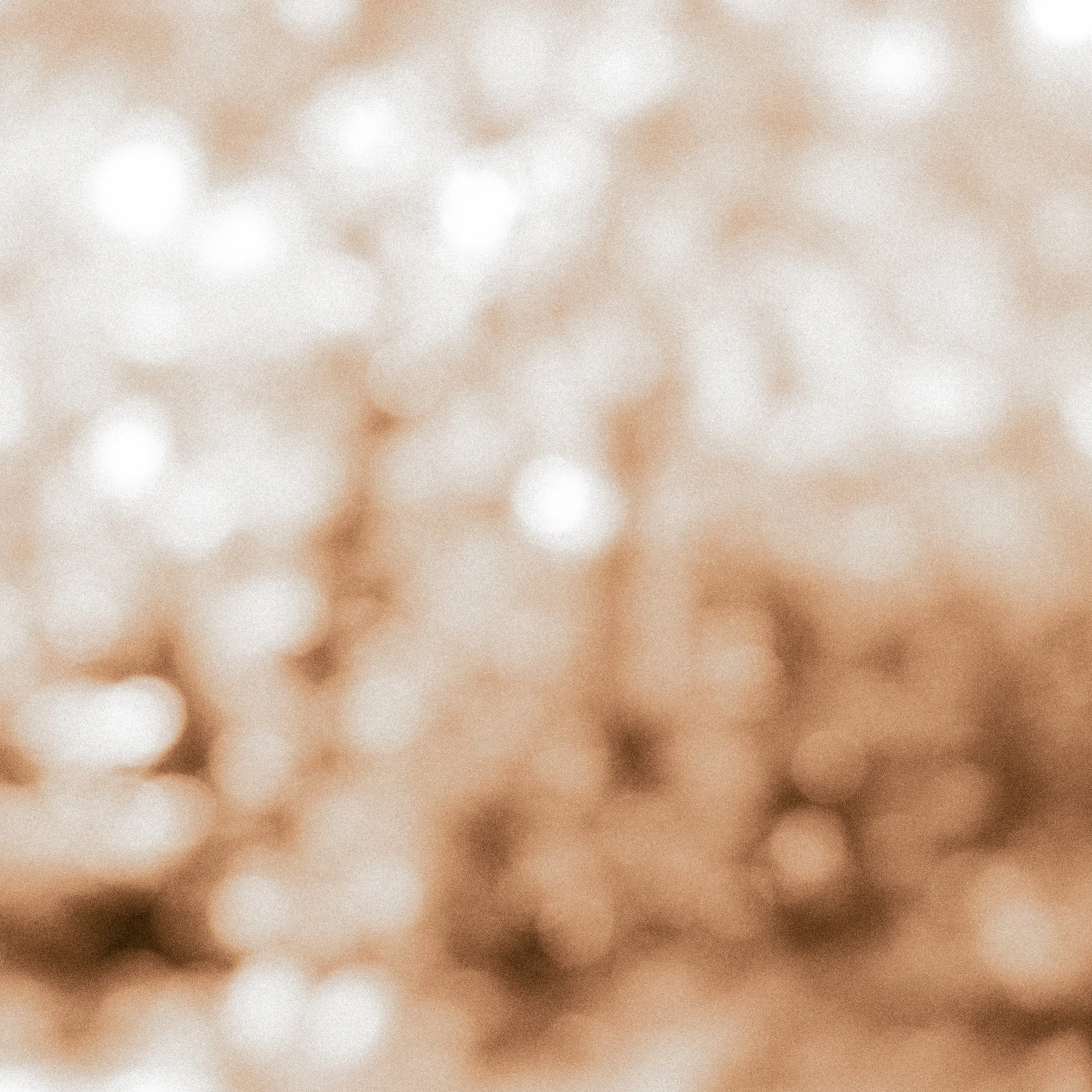 L1040357.jpg