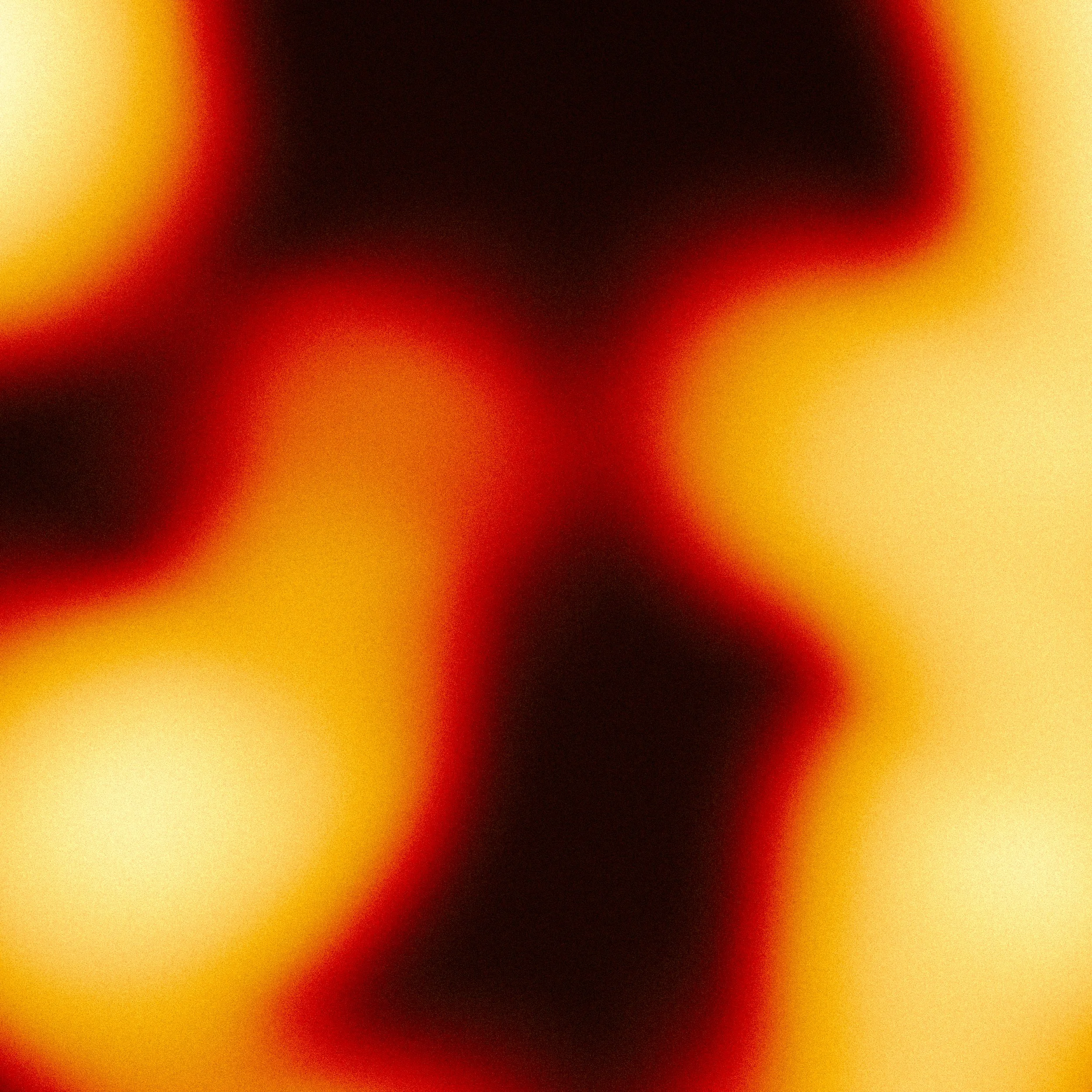 L1040265.jpg