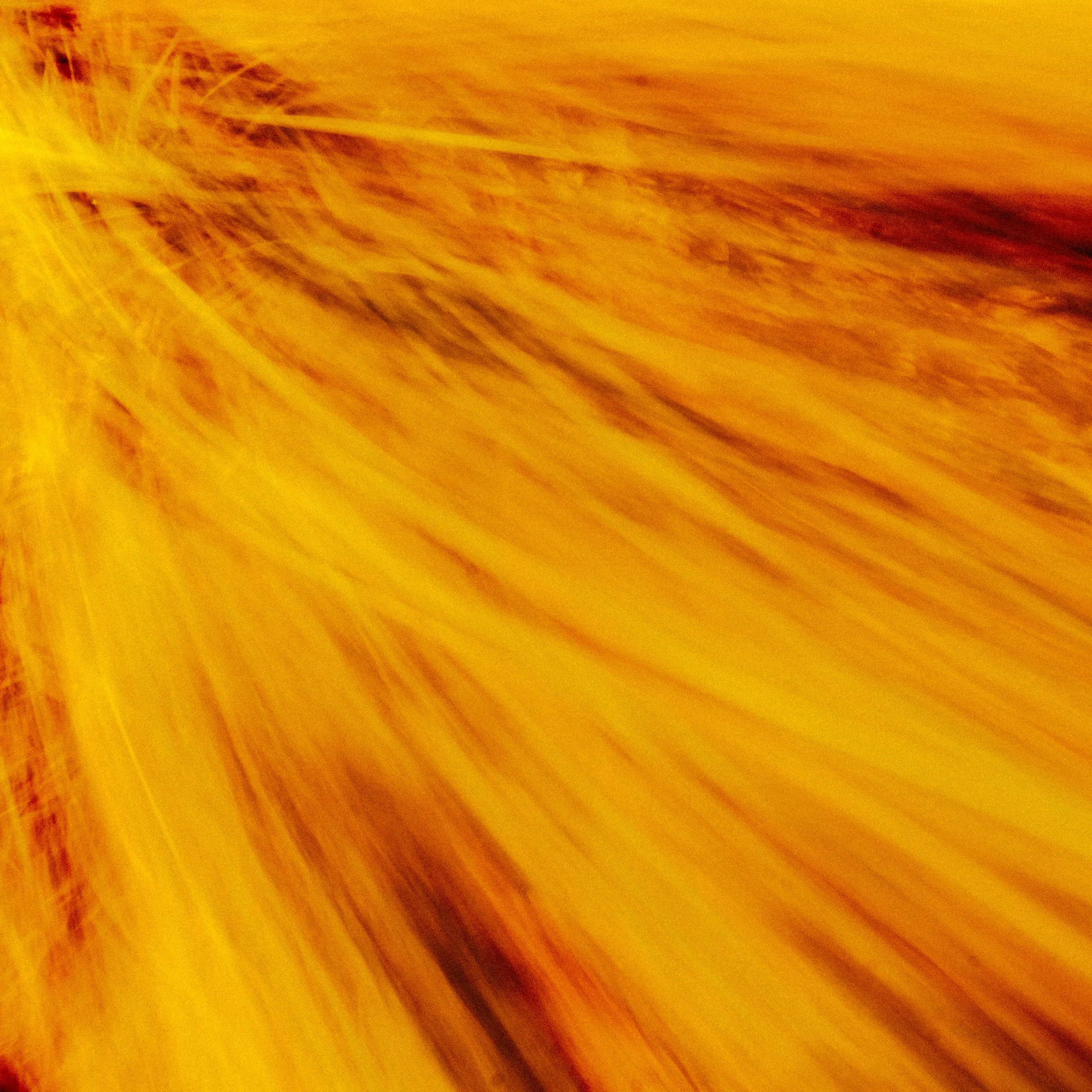 DSCF6781.jpg