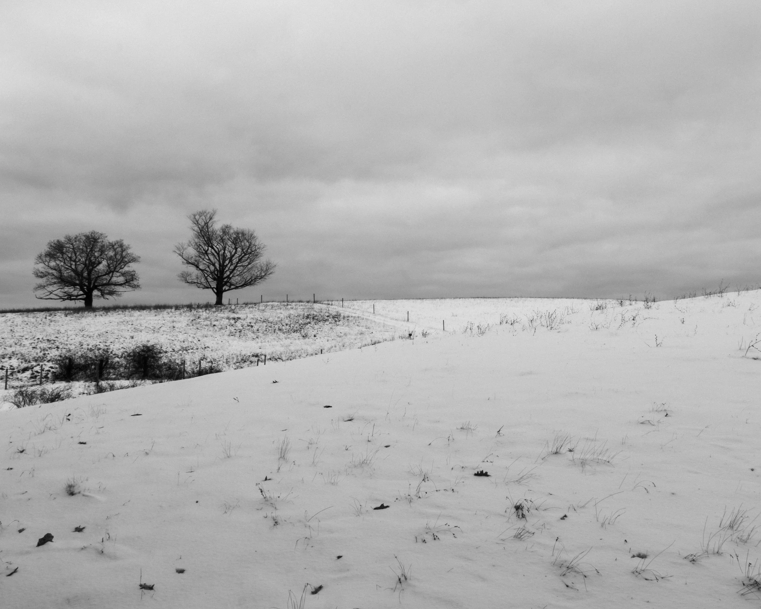 DSCF9607.jpg