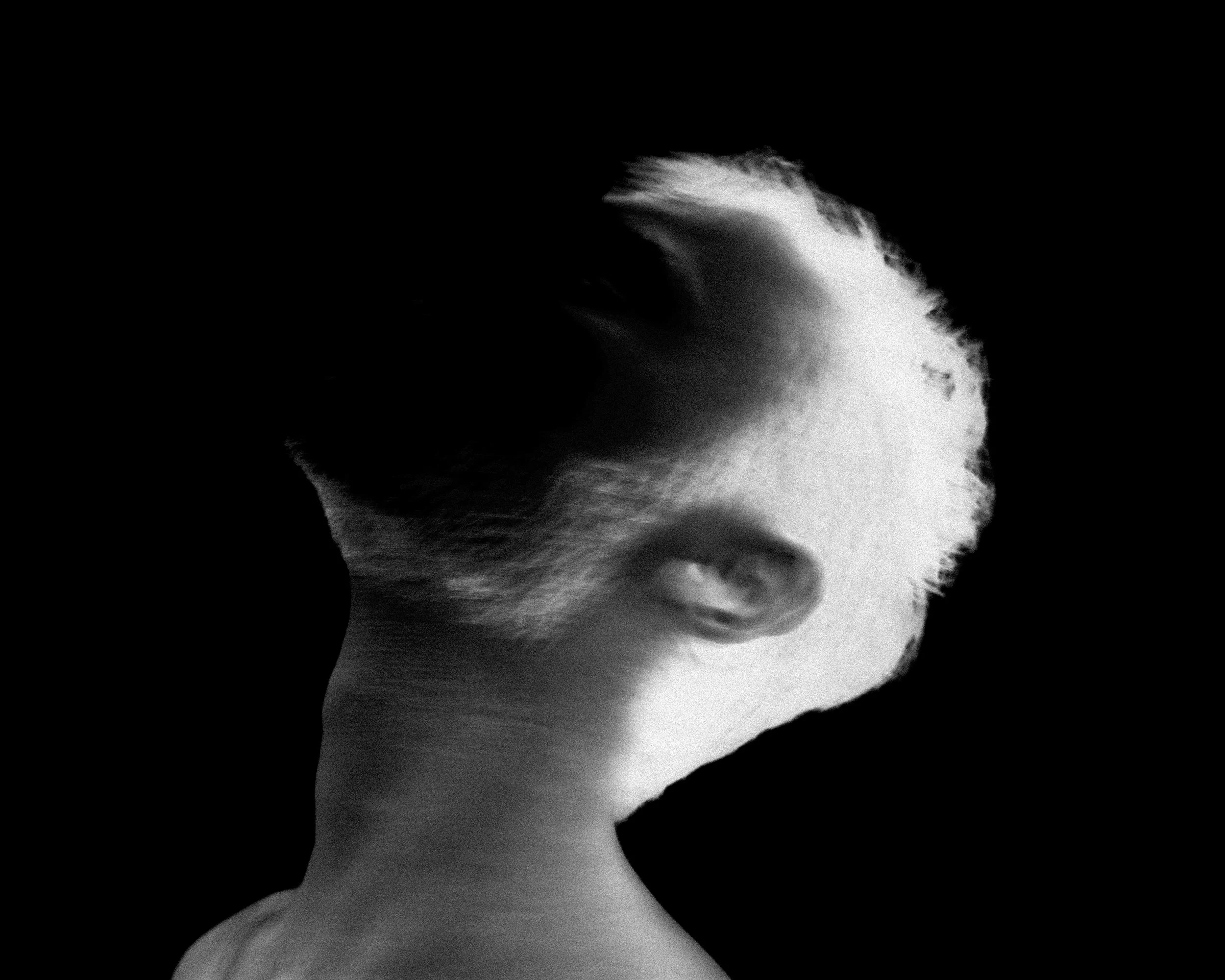 336SelfPortrait1.jpg