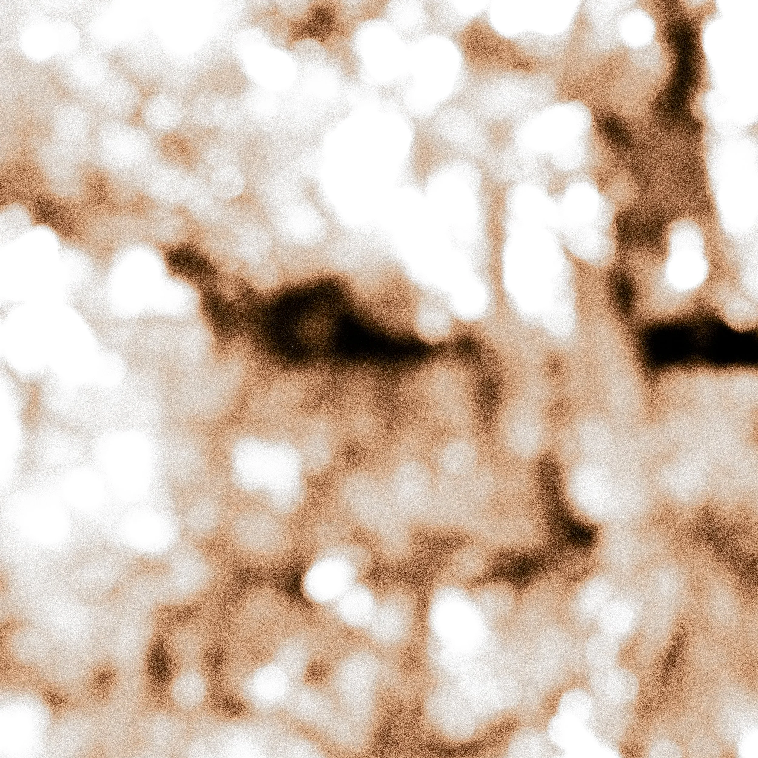 L1040346.jpg