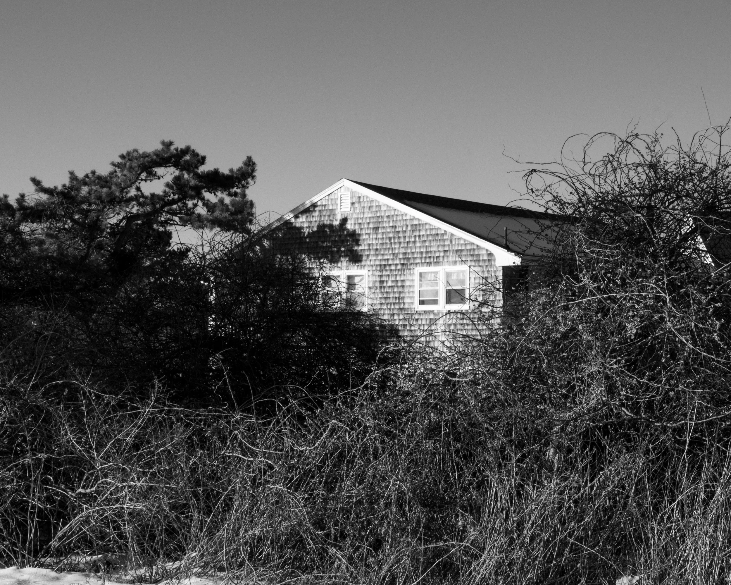 DSCF9693.jpg
