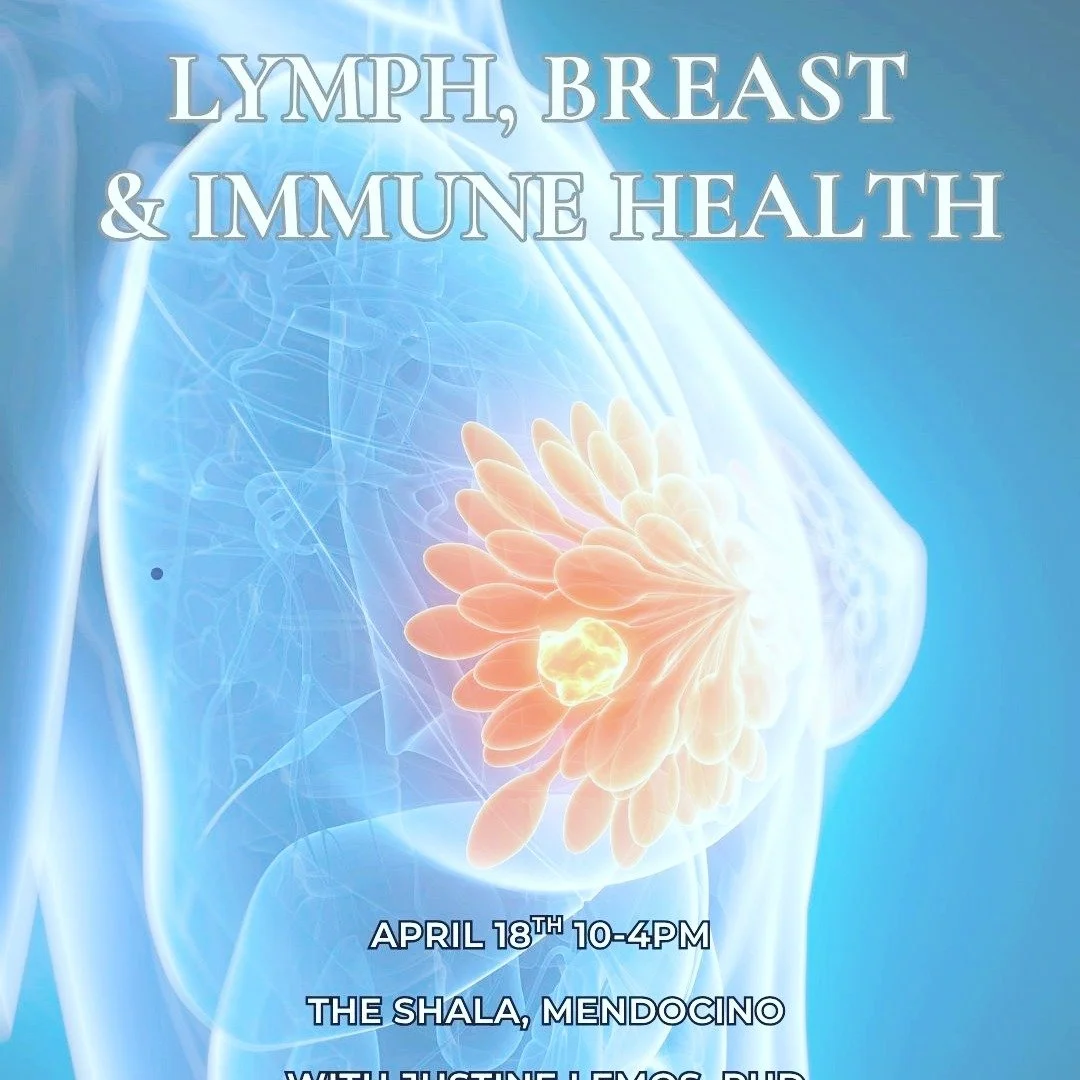 Last chance to join us this Saturday. ✨

Breast &amp; Lymph Reset &mdash; a workshop on lymphatic flow, breast tissue vitality, and Ayurvedic women's health. In-person at The Shala in Mendocino, or join online from wherever you are.

We'll explore se