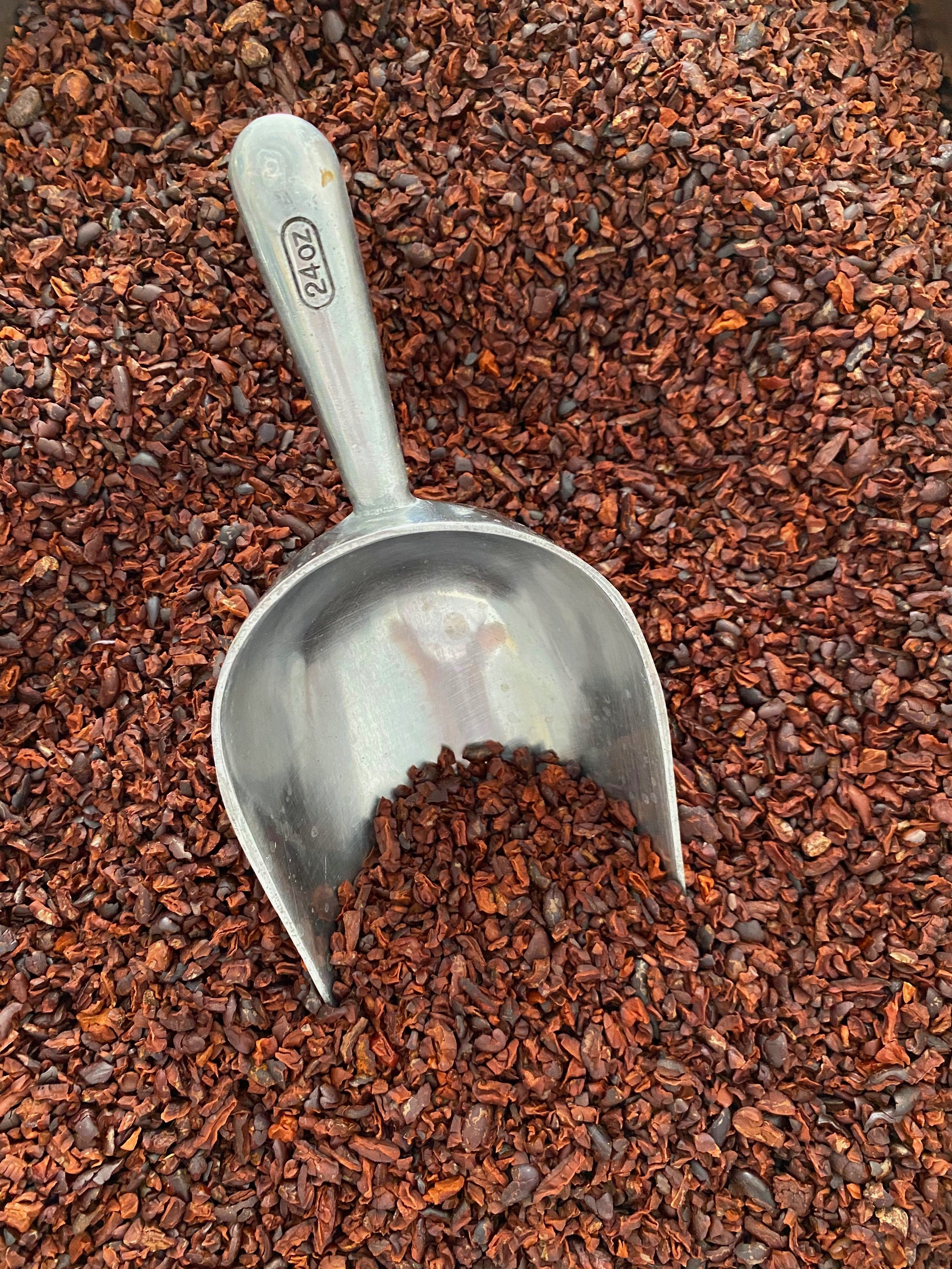 Metal scoop in a pile of cocoa nibs