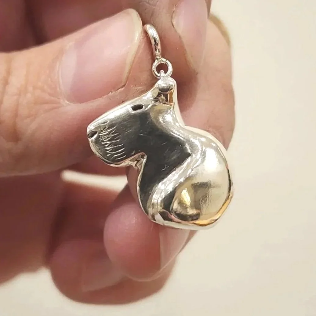 Capybara Charms