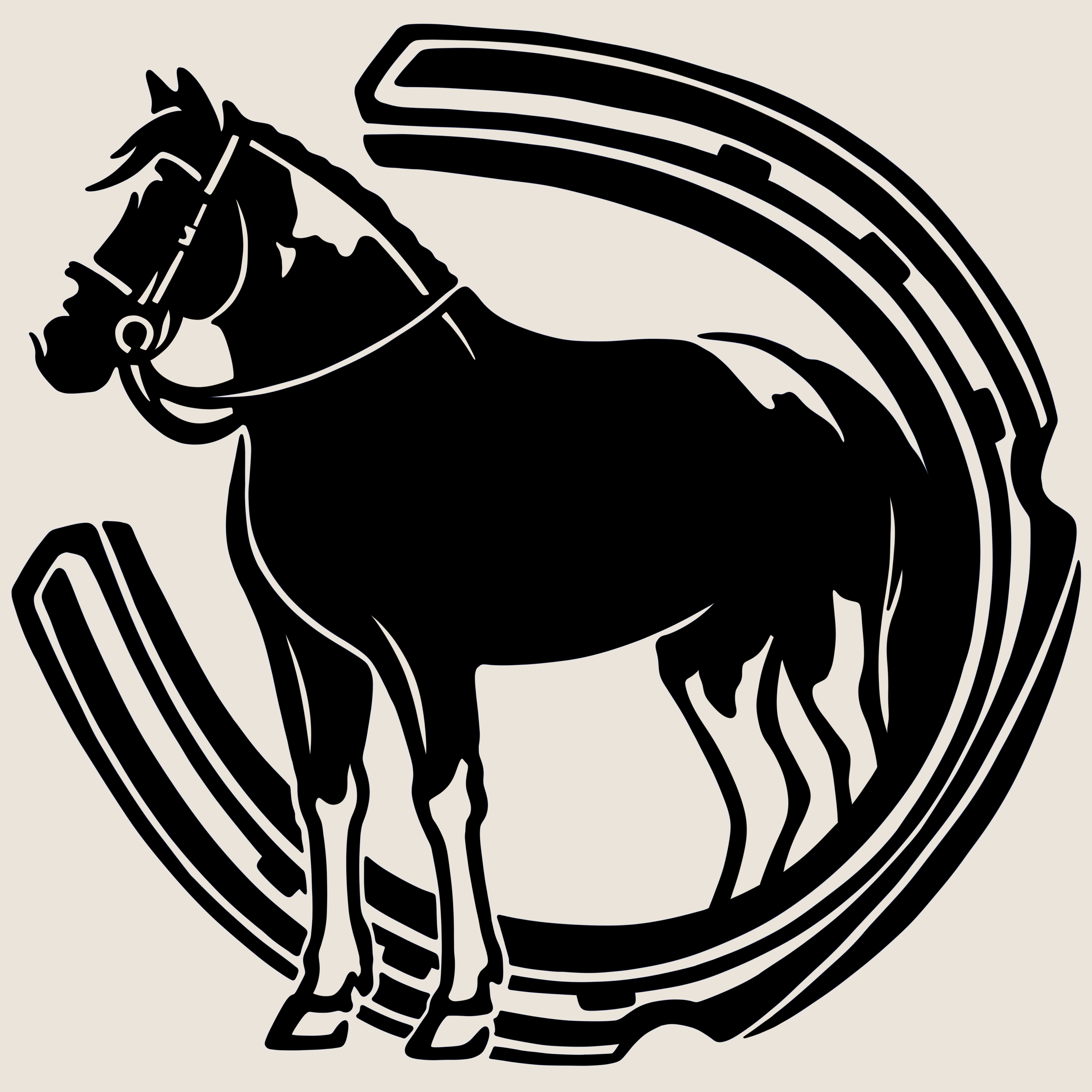 IMG_1217.png