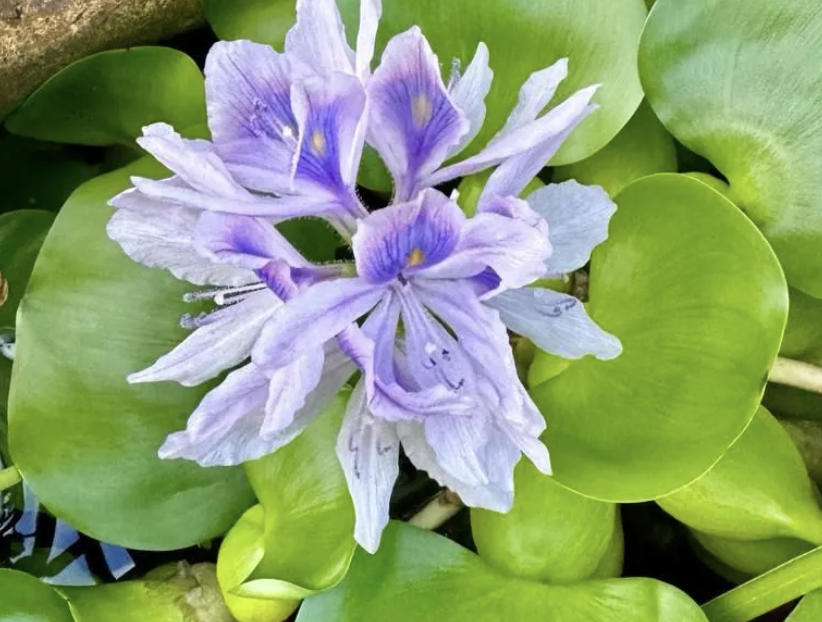 Make Every Day Count