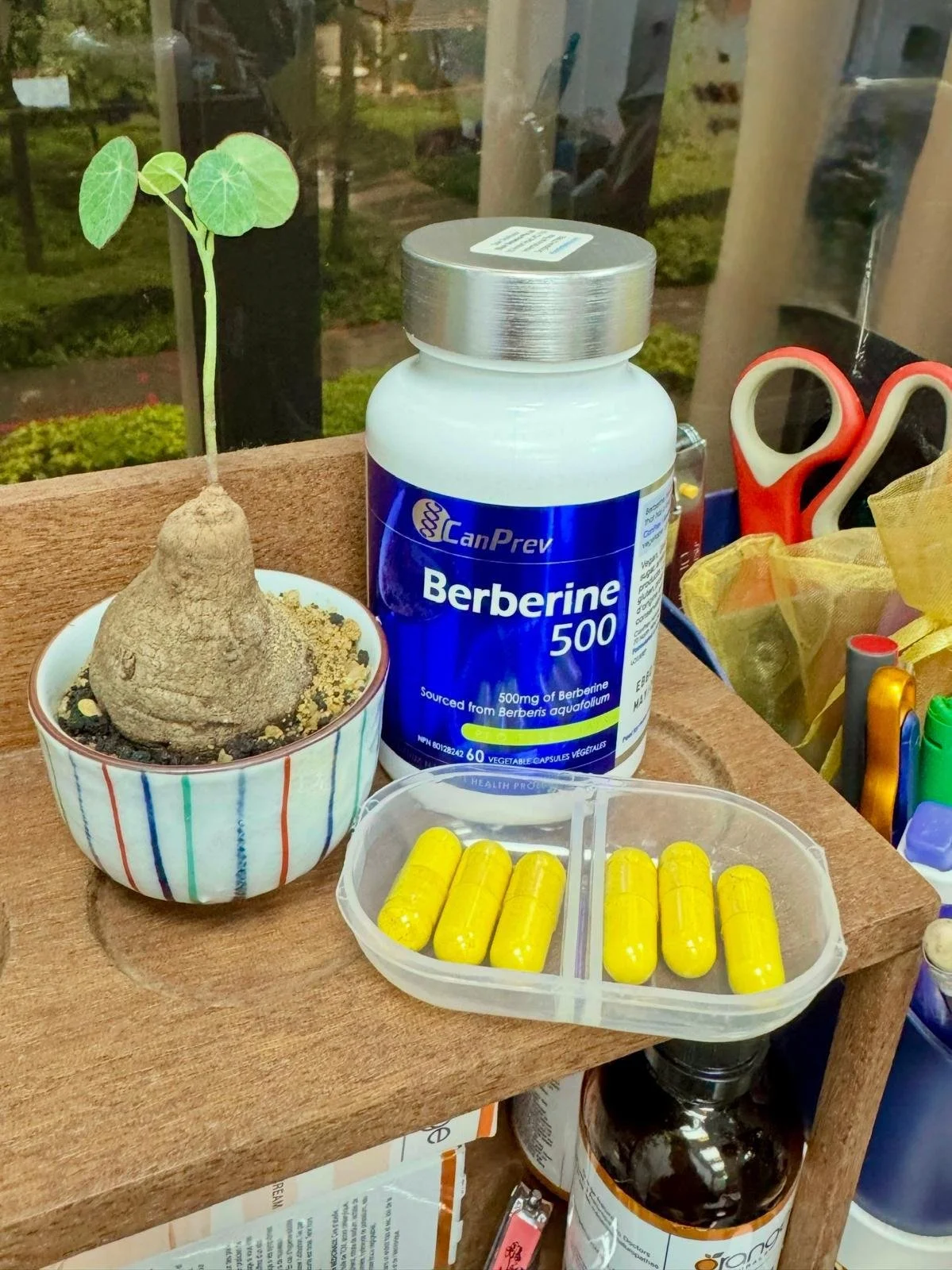 New Product of the Year