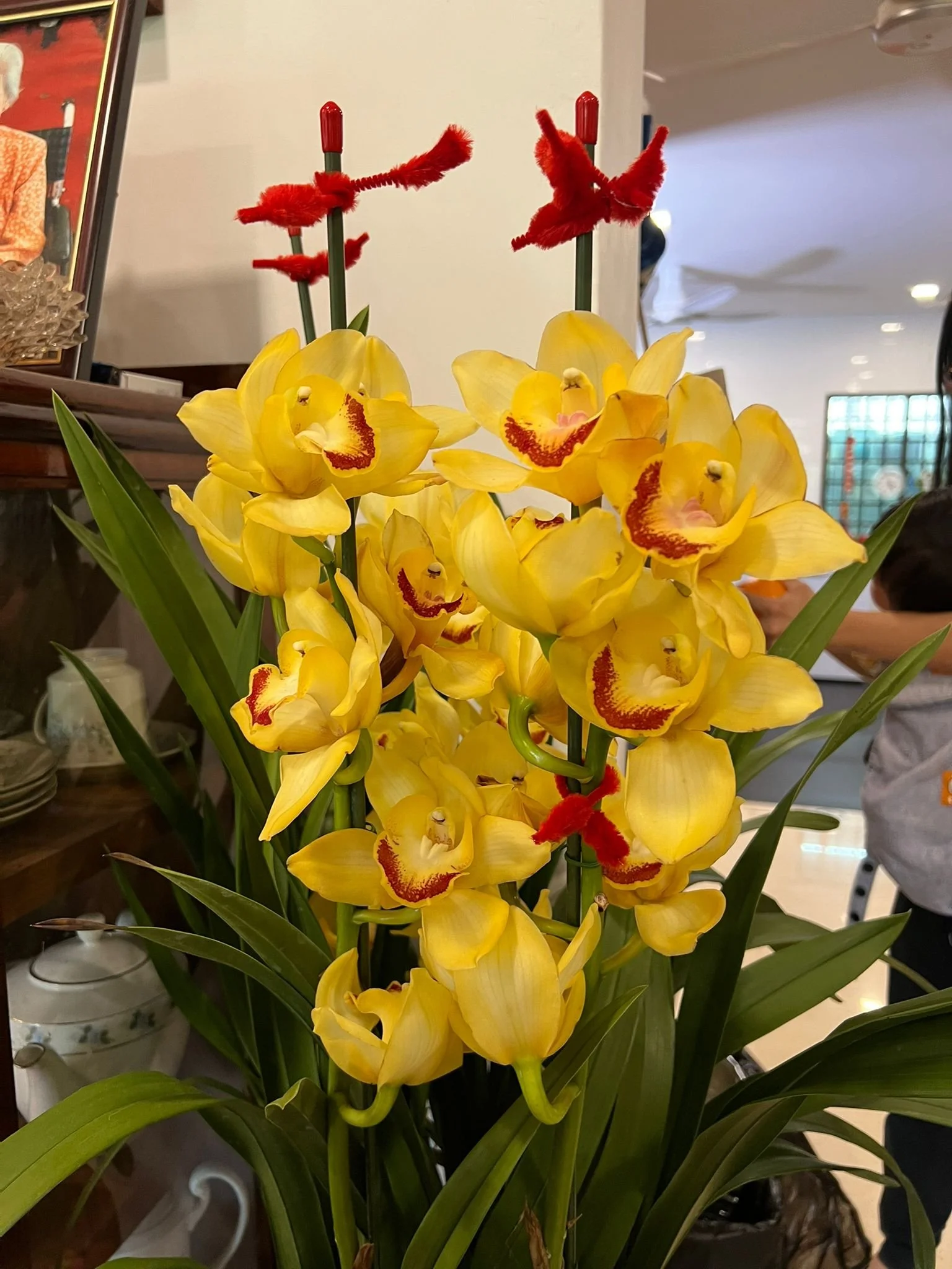 WhatsApp Image 2026-02-23 16.jpeg