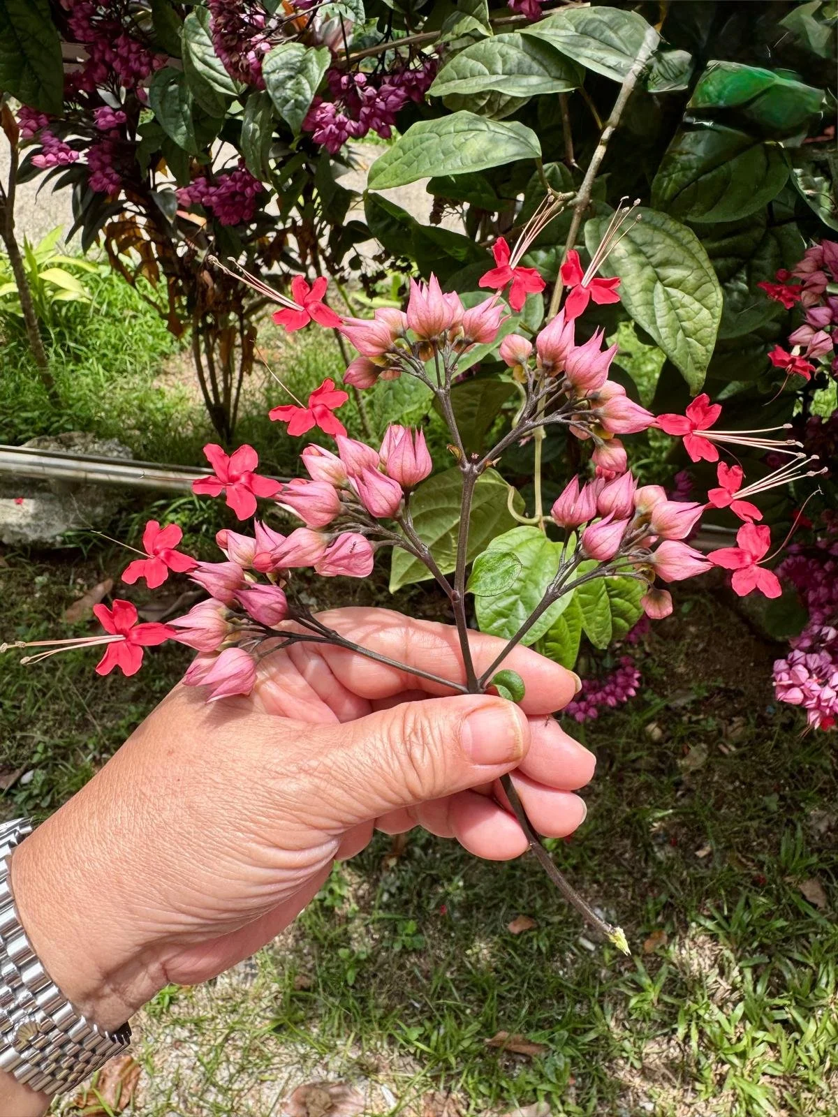 When Faith Feels Like Free Fall