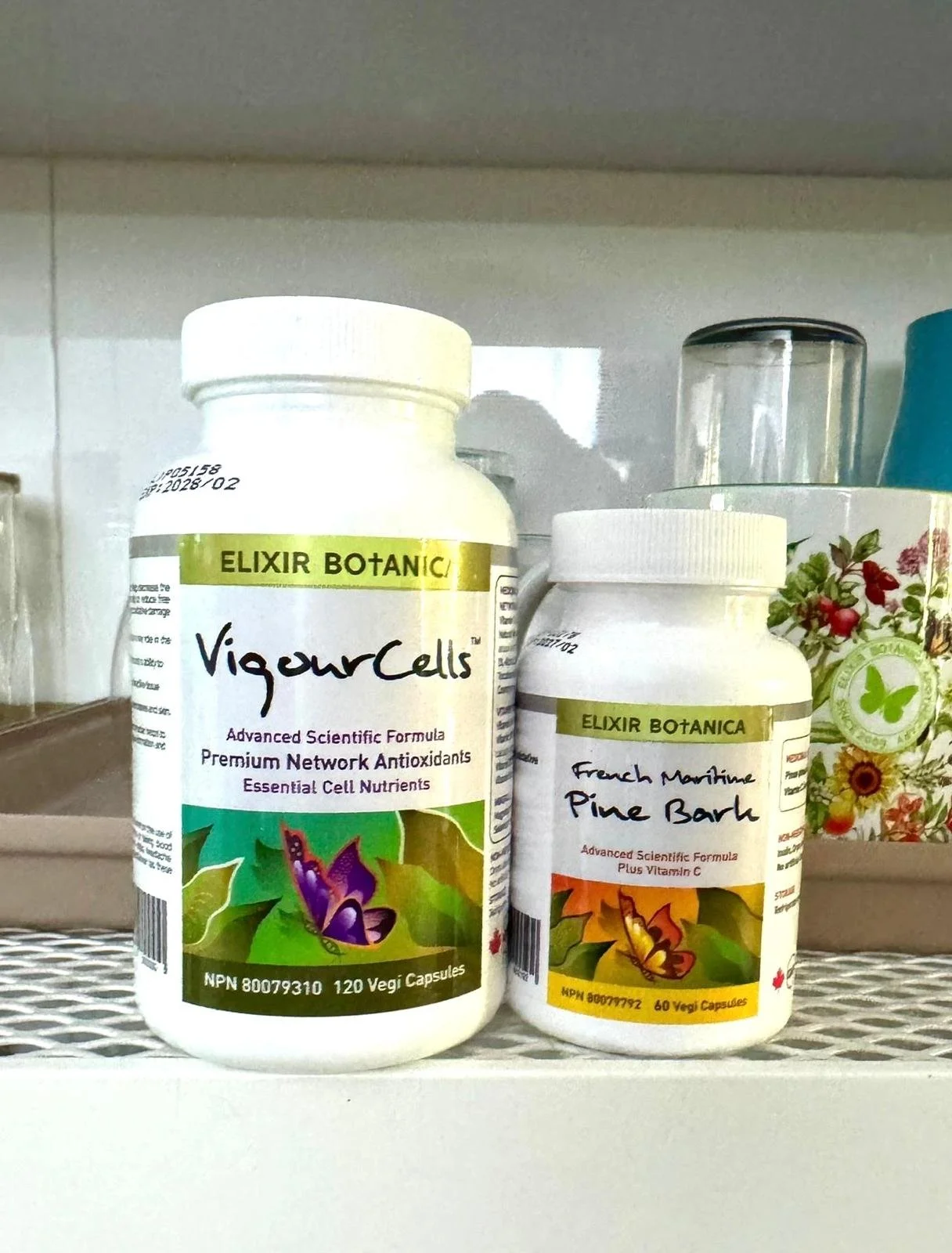 Strengthening our cells in an uncertain world