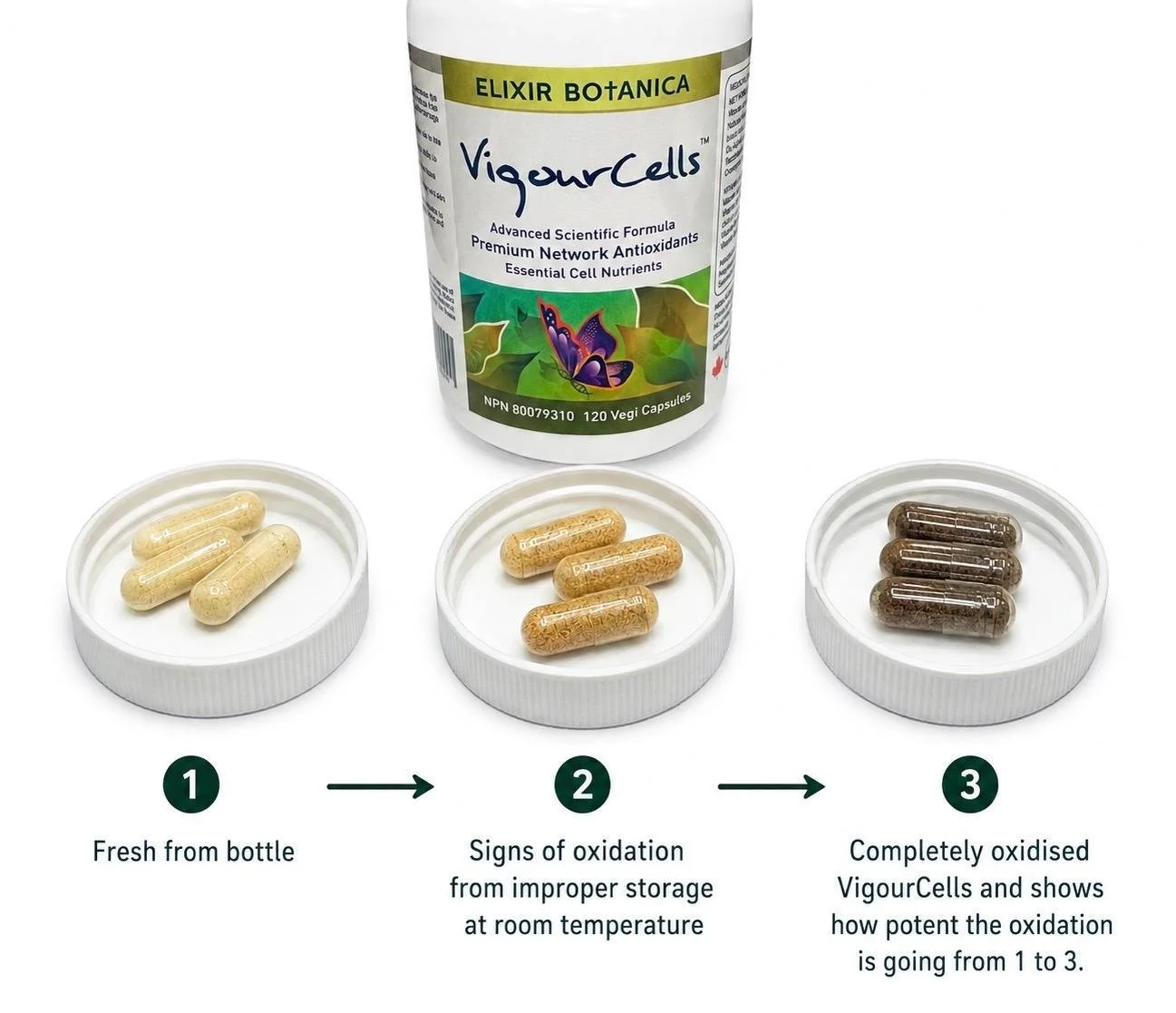 VigourCells - Keep unopened and opened bottles in the fridge