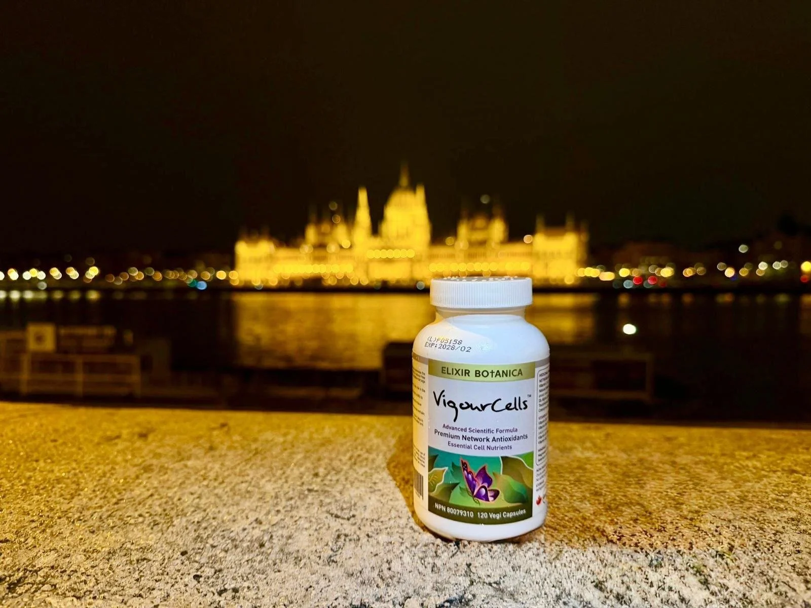 17 Years of Network Antioxidants/ VigourCells™️: Real-World Observations on Long-Term Brain Health