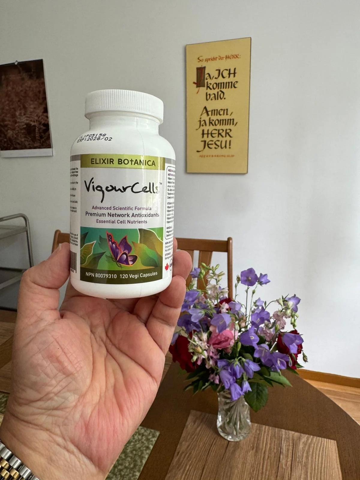 How Can VigourCells Help So Many Conditions — Even Anti-Ageing?