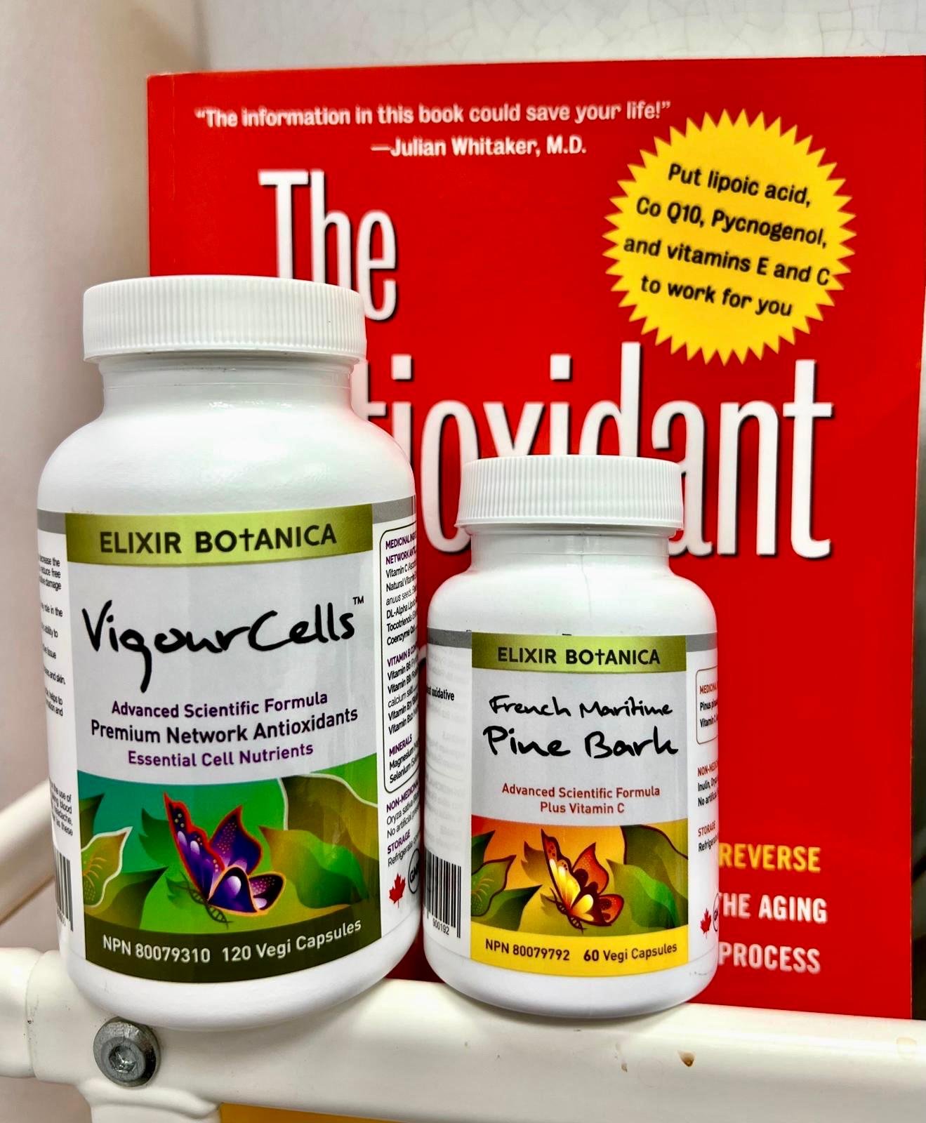 Do Supplements Feed Cancer? Why VigourCells Supports Healthy, Not Cancerous, Cells.