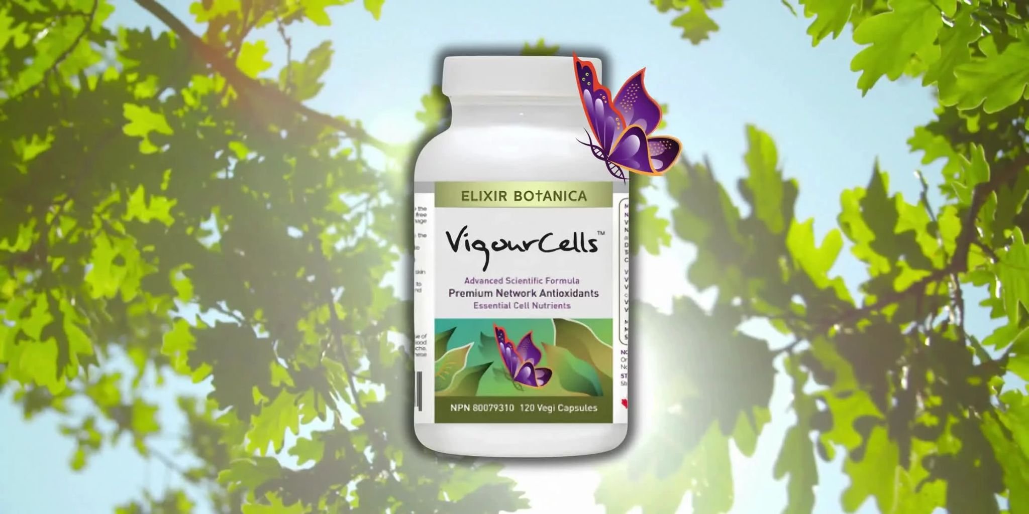 VC with butterfly.jpeg