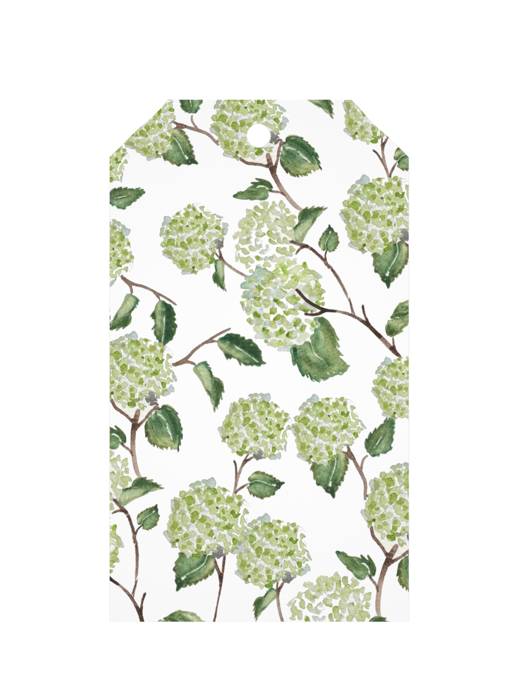 Green Hydrangeas Gift Tag