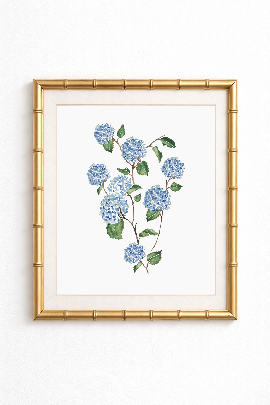 Blue Hydrangeas