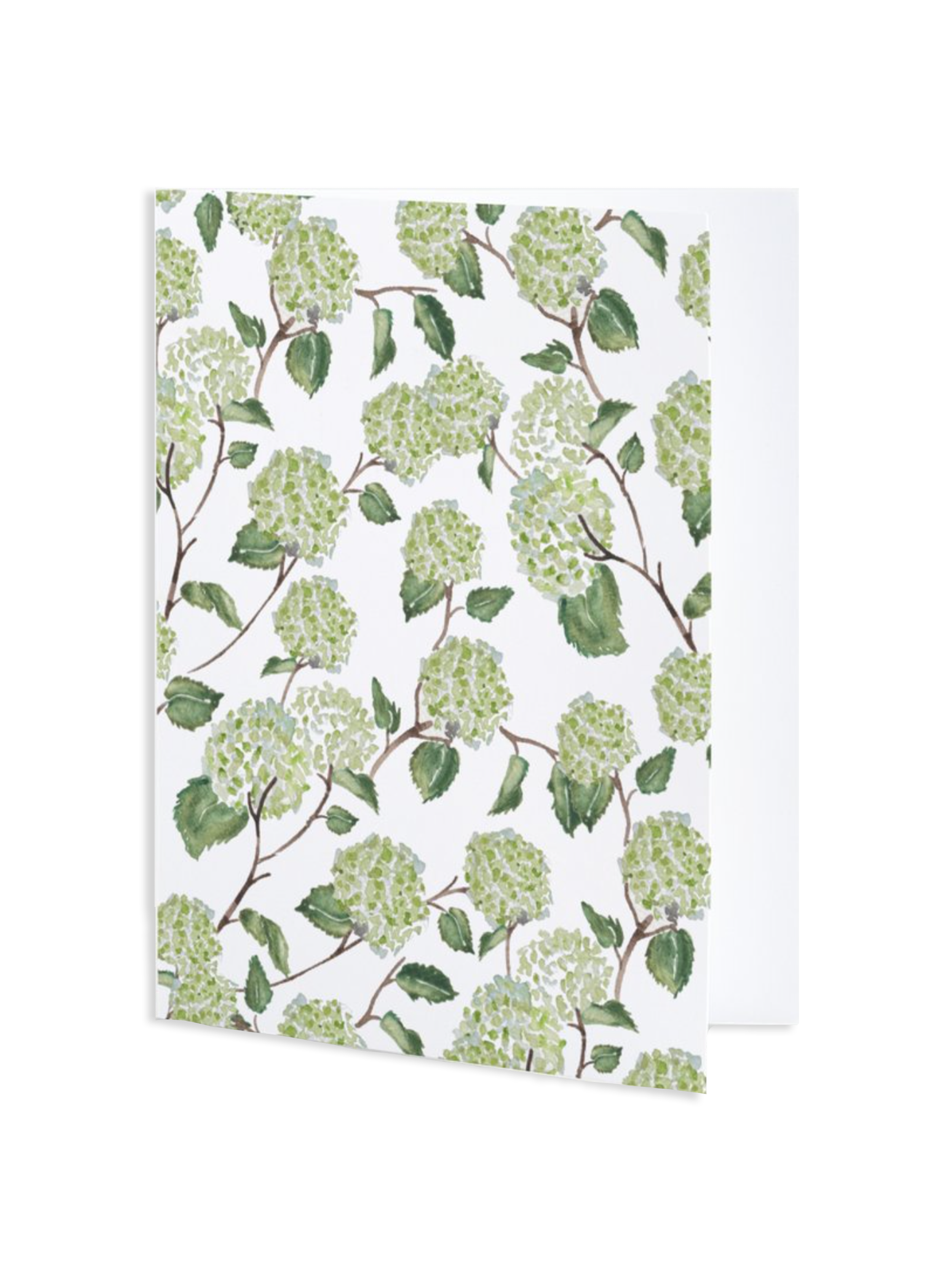 Green Hydrangeas Card