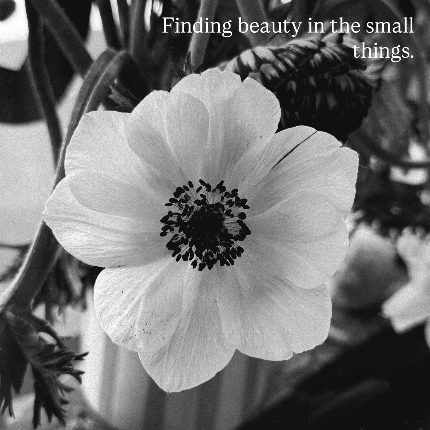 It&rsquo;s been a week. Actually a month. It&rsquo;s been a wild ride for me, and I look forward to sharing when I get a moment to catch my breath. 

Sending loads of love to those that need it right now xx