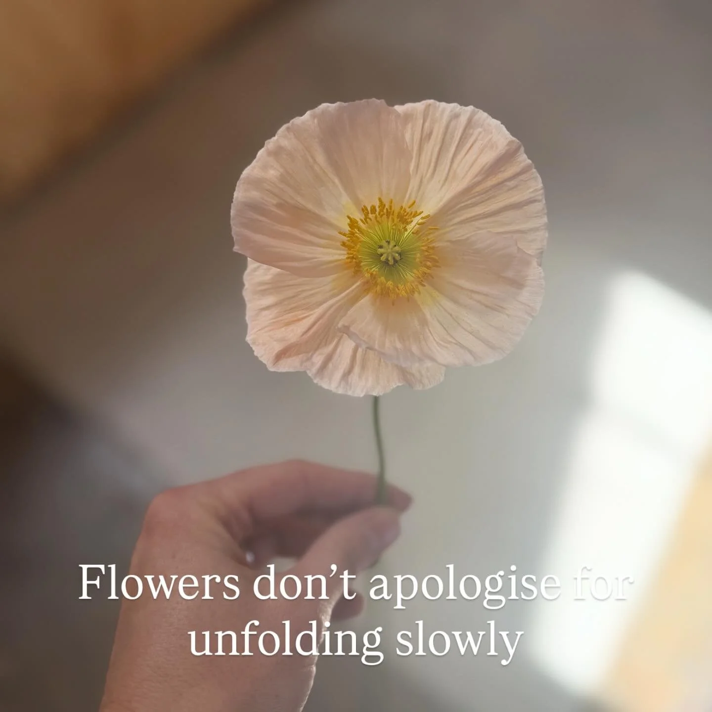 Beauty doesn&rsquo;t apologize for unfolding slowly.
And neither should you.

We&rsquo;re so obsessed with the finished product that we forget the becoming is where the magic actually happens. The messy middle. The quiet mornings where nothing clicks