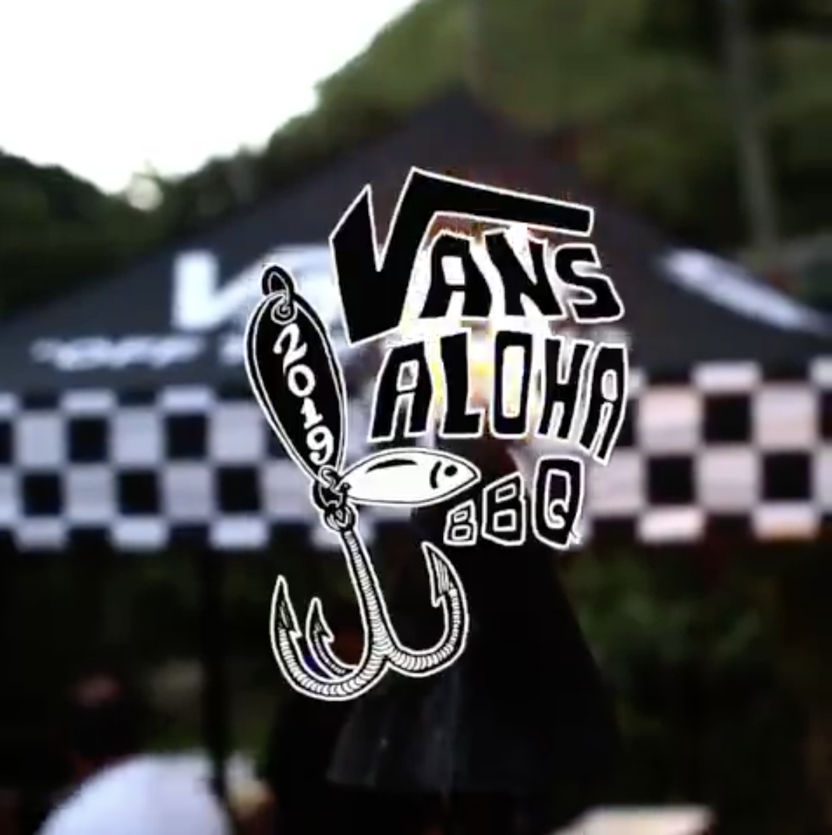 Vans Aloha BBQ