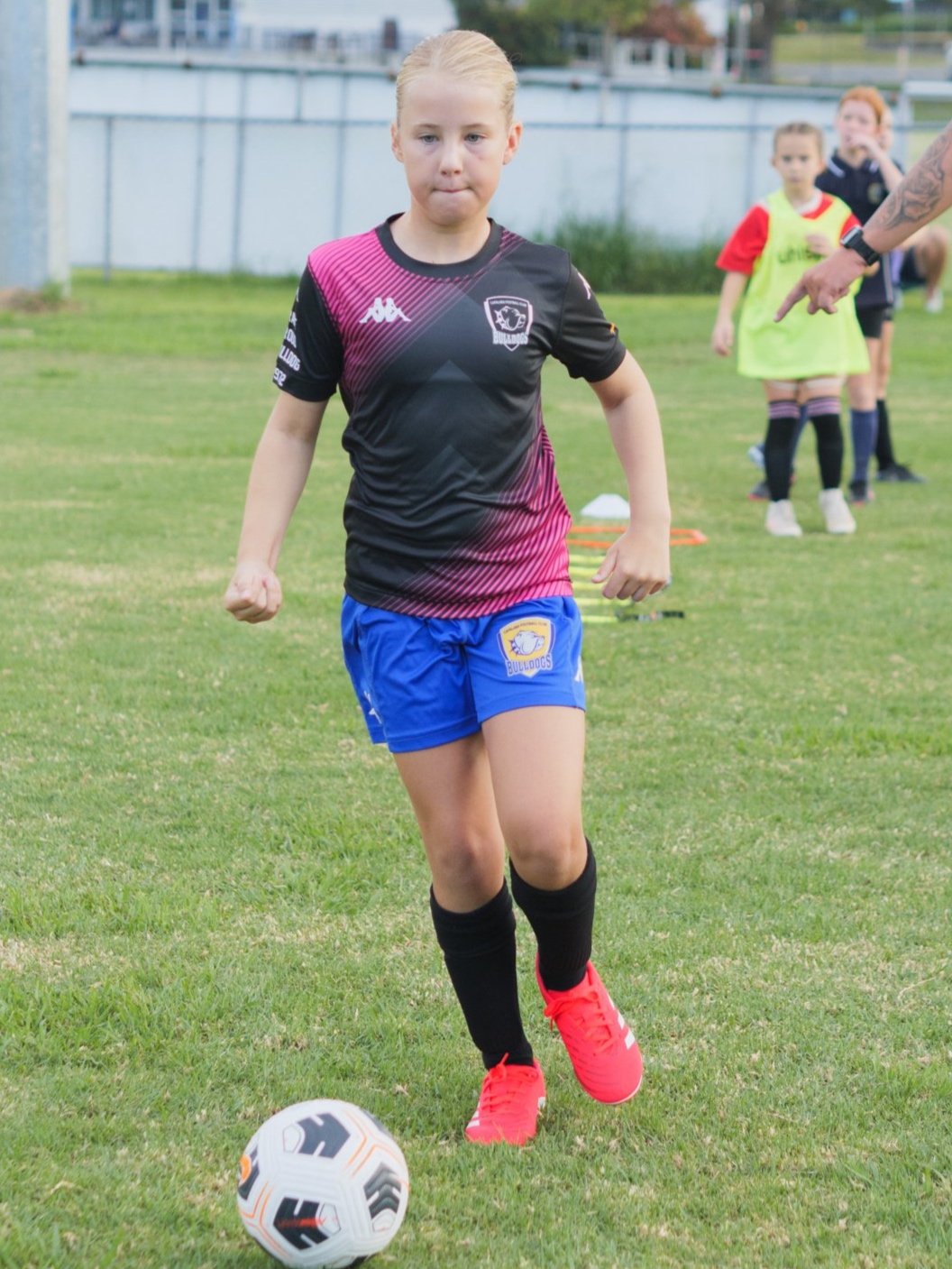 P1020457.jpg