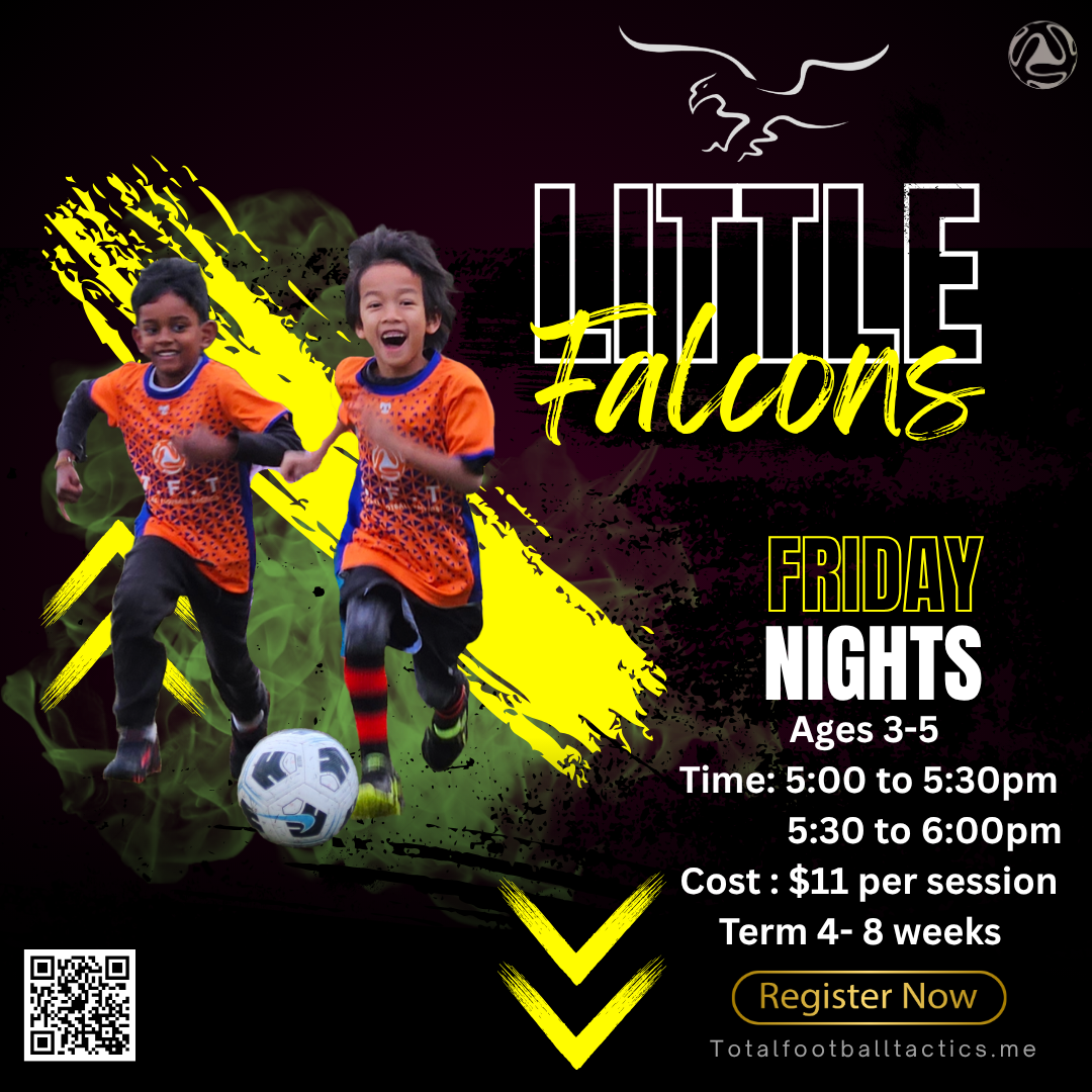 Logan Village Little Falcons Term 4 ($110 + GST + A SHIRT!!)
