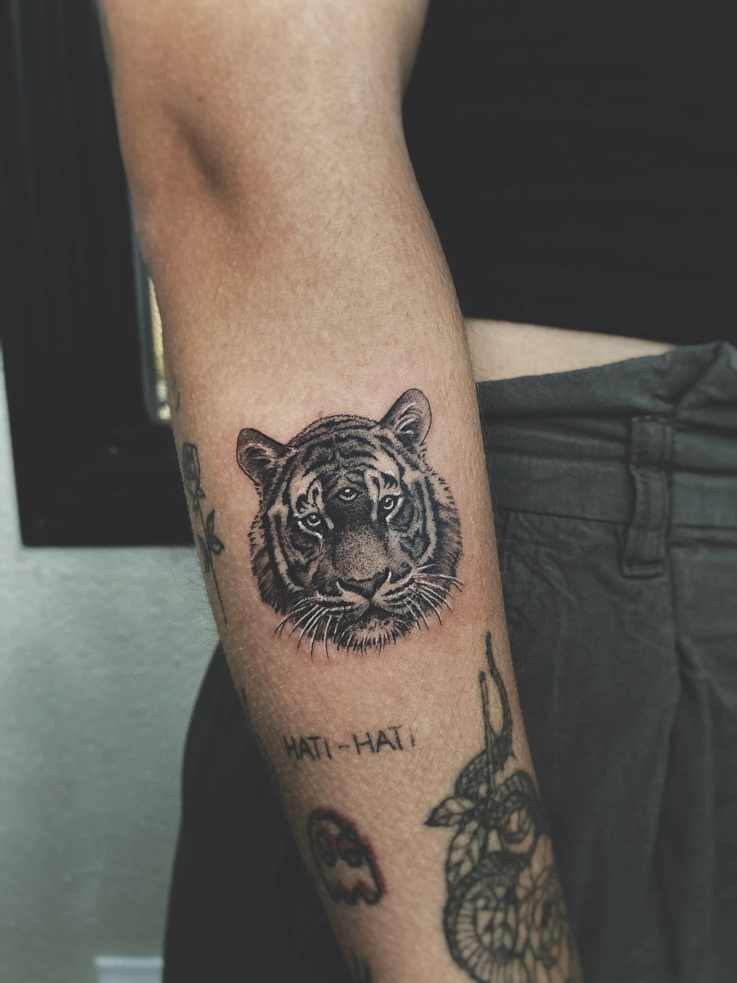 tiger head.jpg