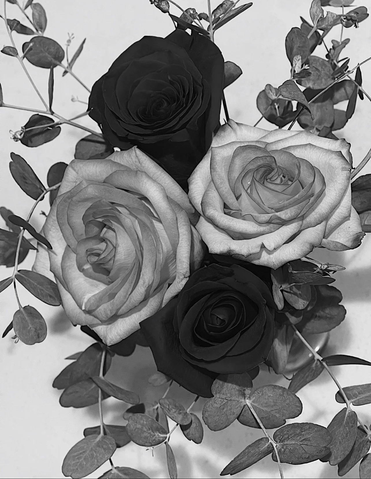 IMG_1676_VSCO.jpeg