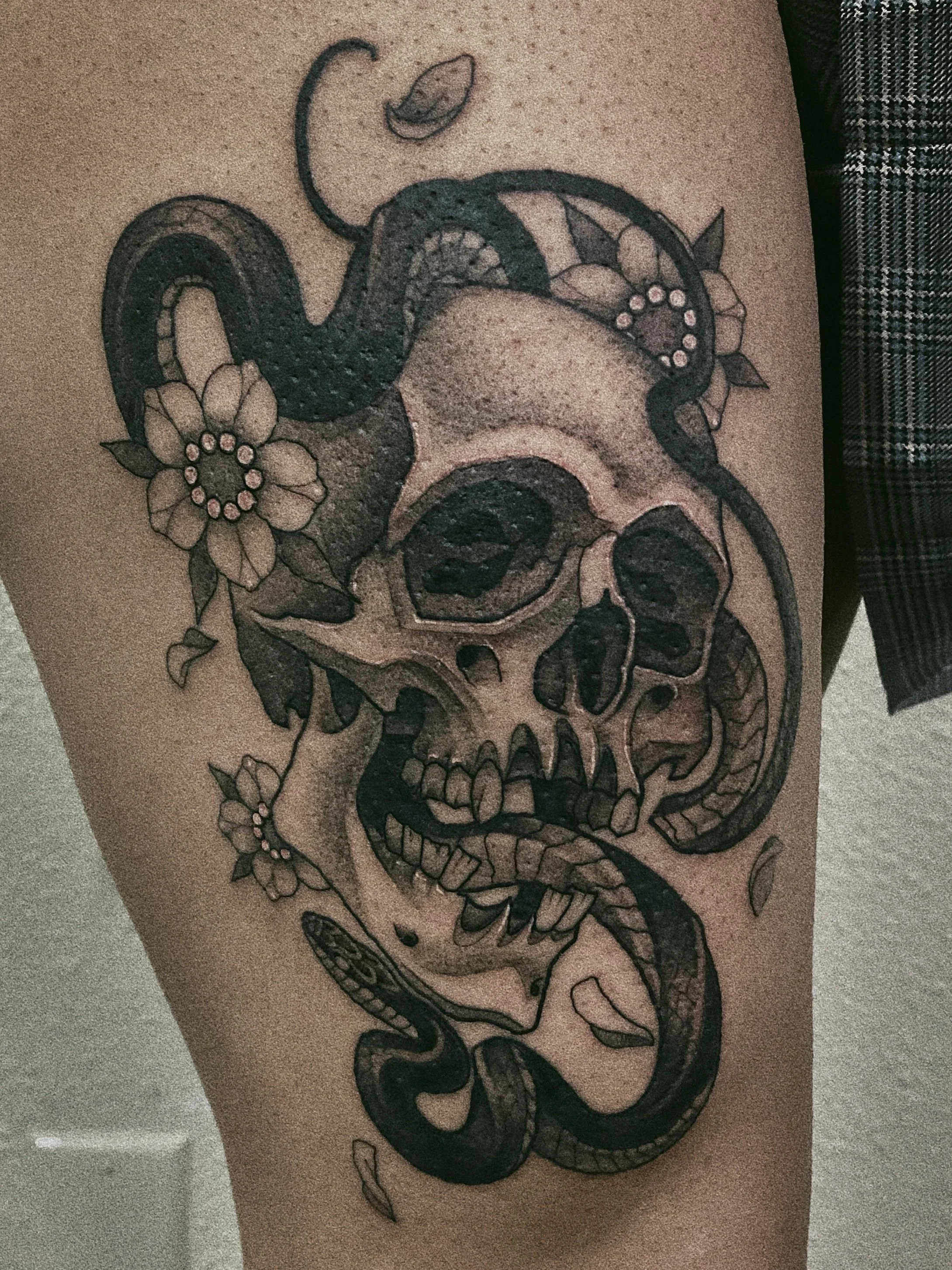 skull snake.jpg
