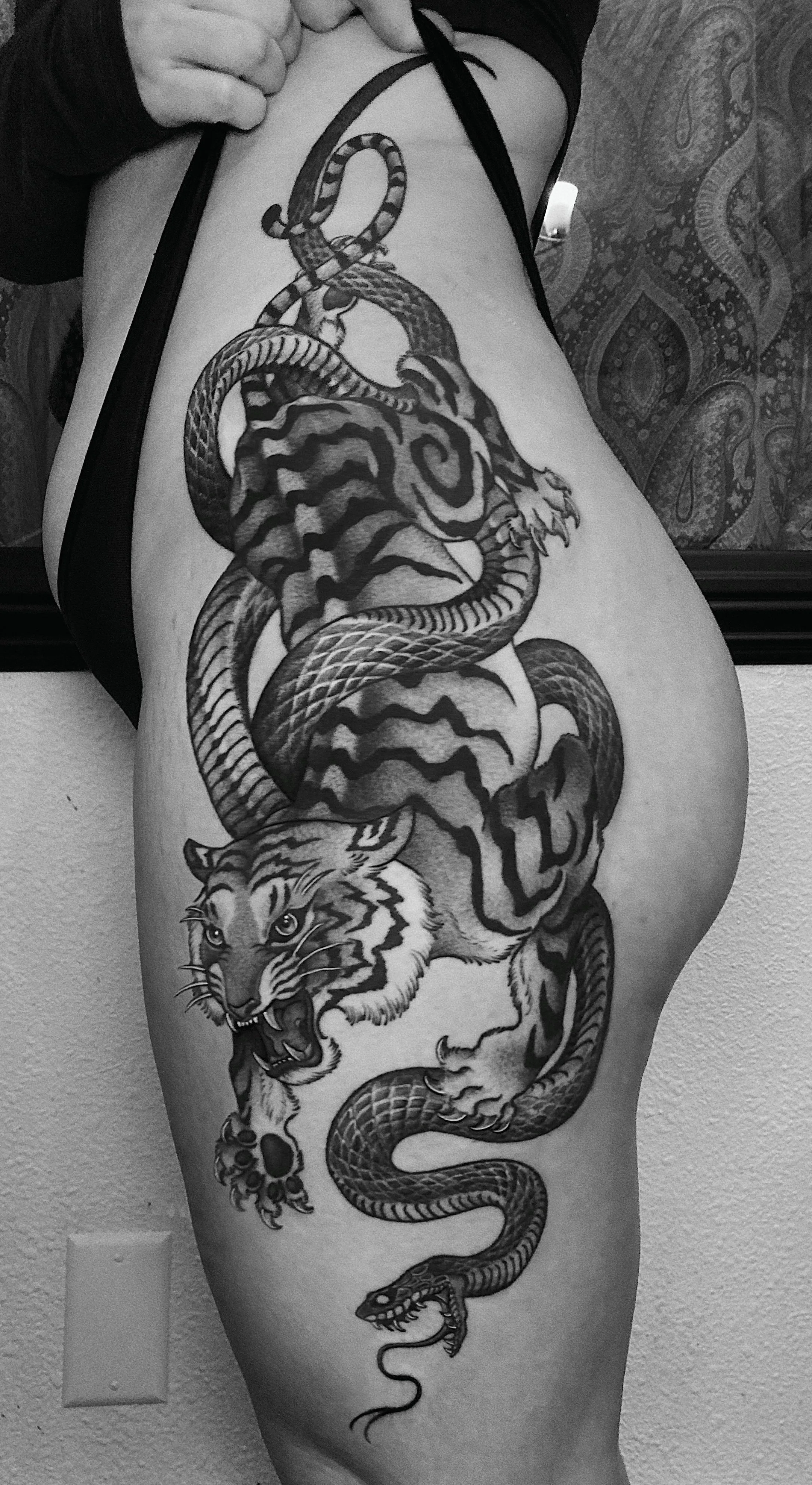 Tigersnake.jpg