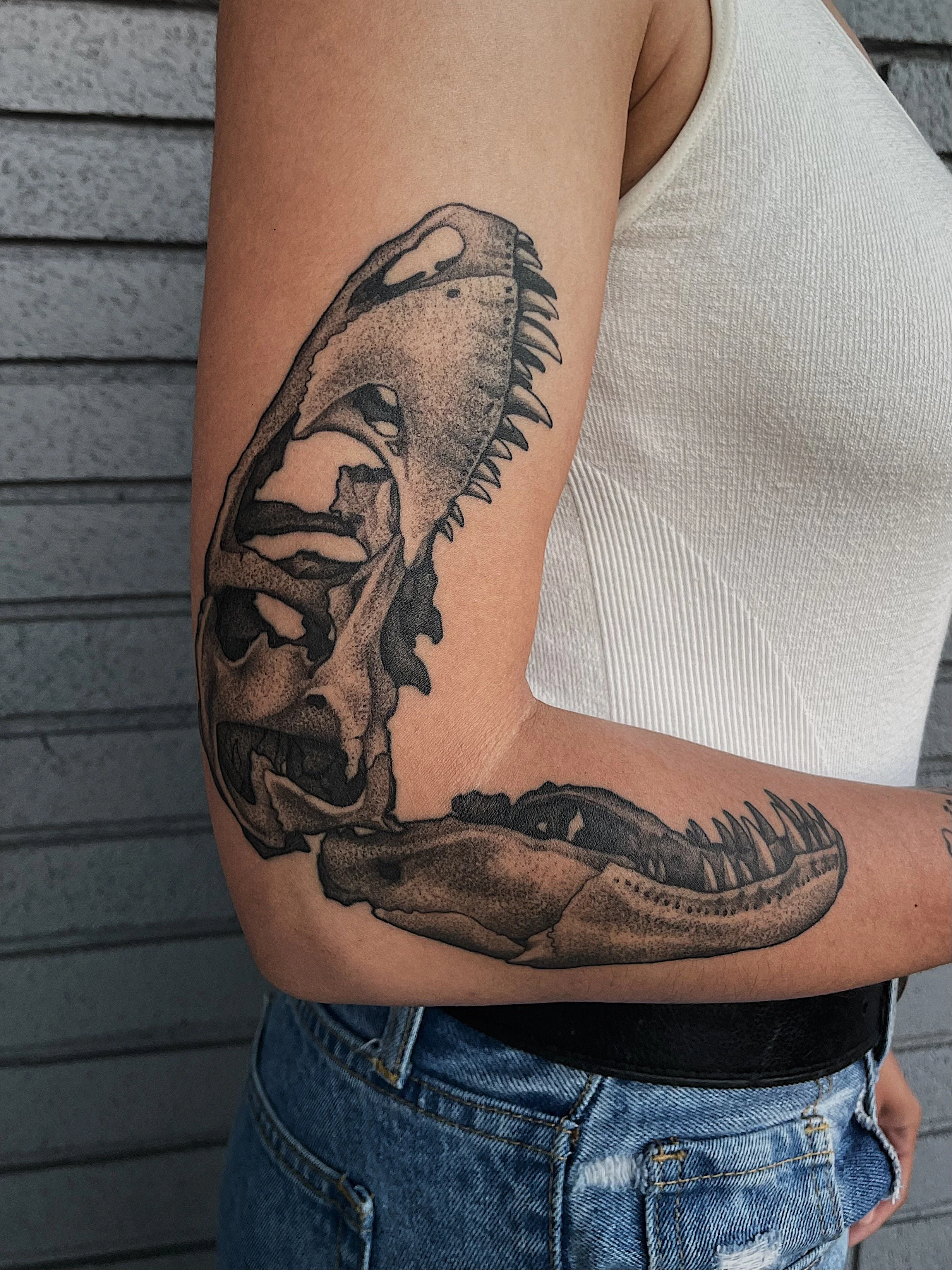 dino skull.JPG