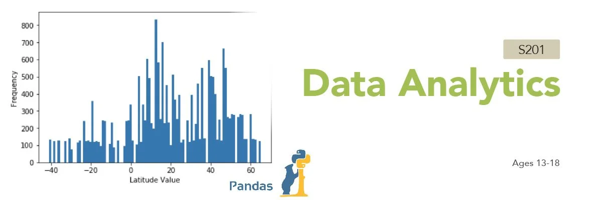 Banner for S201 - Data Analytics Course