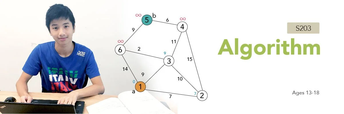 Banner of S203 - Algorithm Course