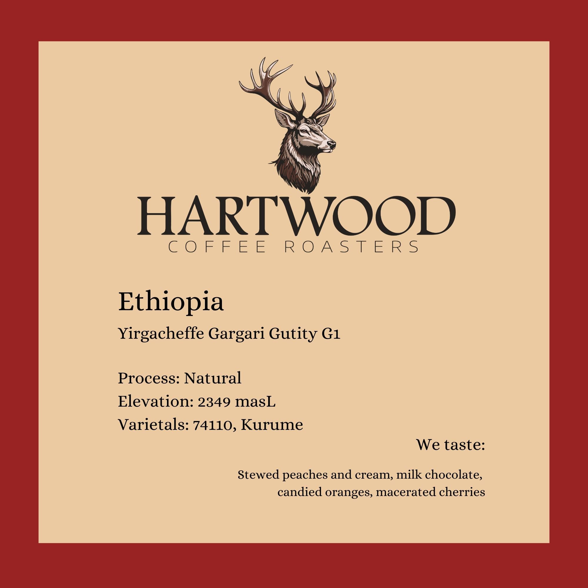 Reworked_Colour_Version_Ethiopia_SO__(285.75_x_285.75_mm).jpg