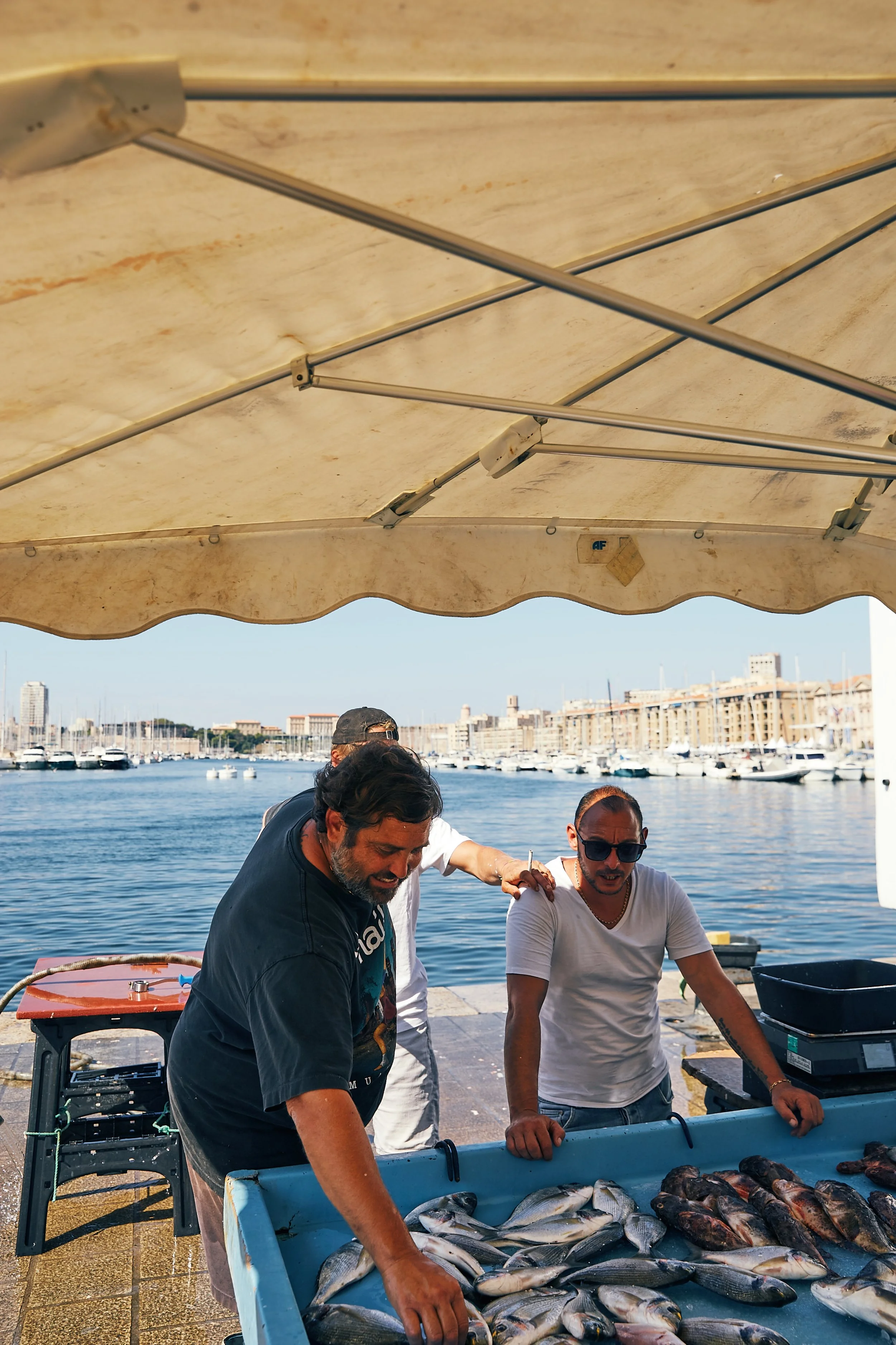 Men selling freshly caught fish on a dock near a marina, with boats and waterfront buildings in the background.