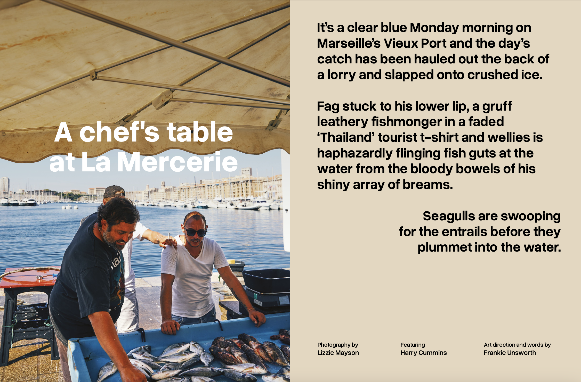 Photograph of the fisherman selling their fish in the port in Marseille