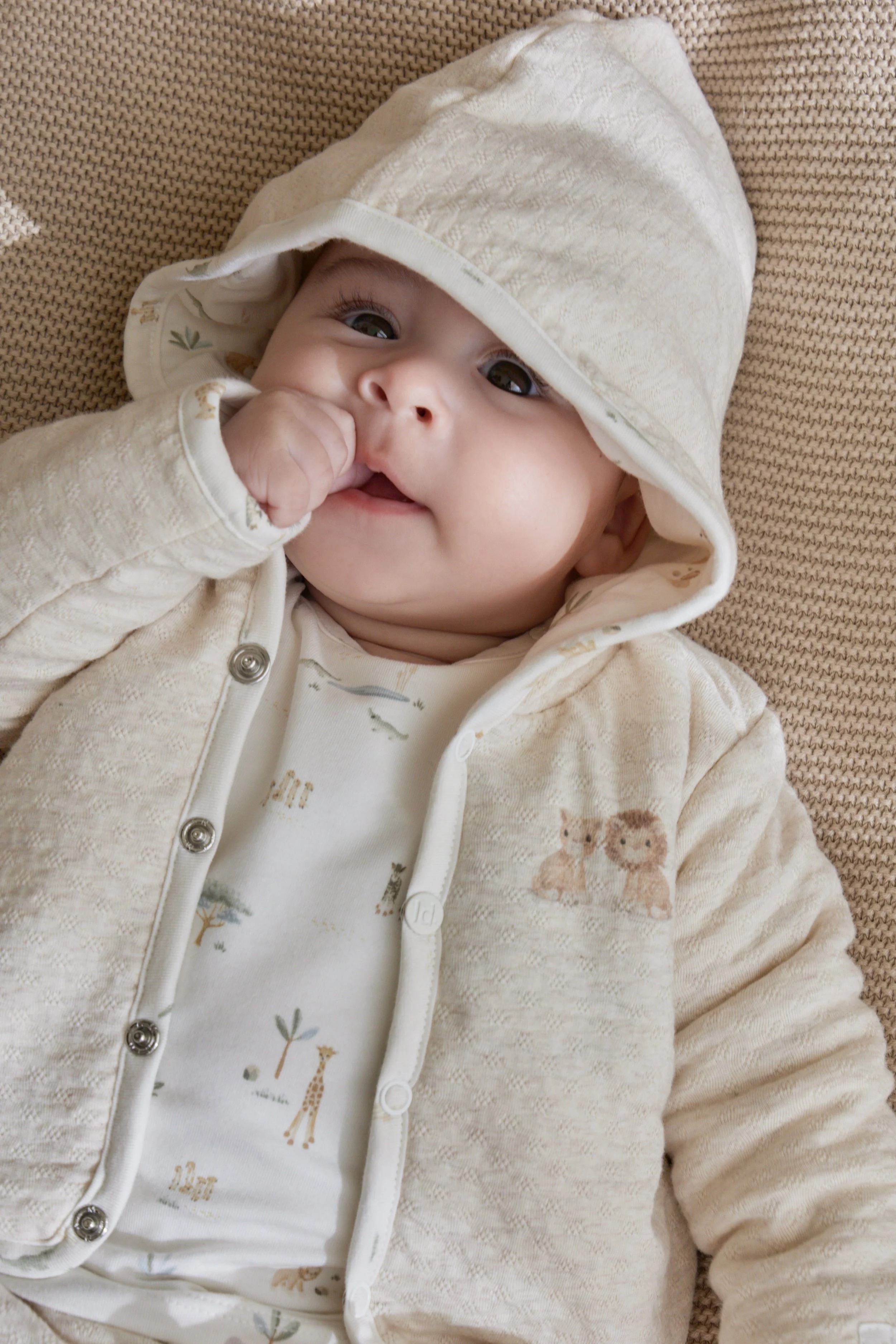 Little Dutch Safari Campaign - Newborn 53.jpg
