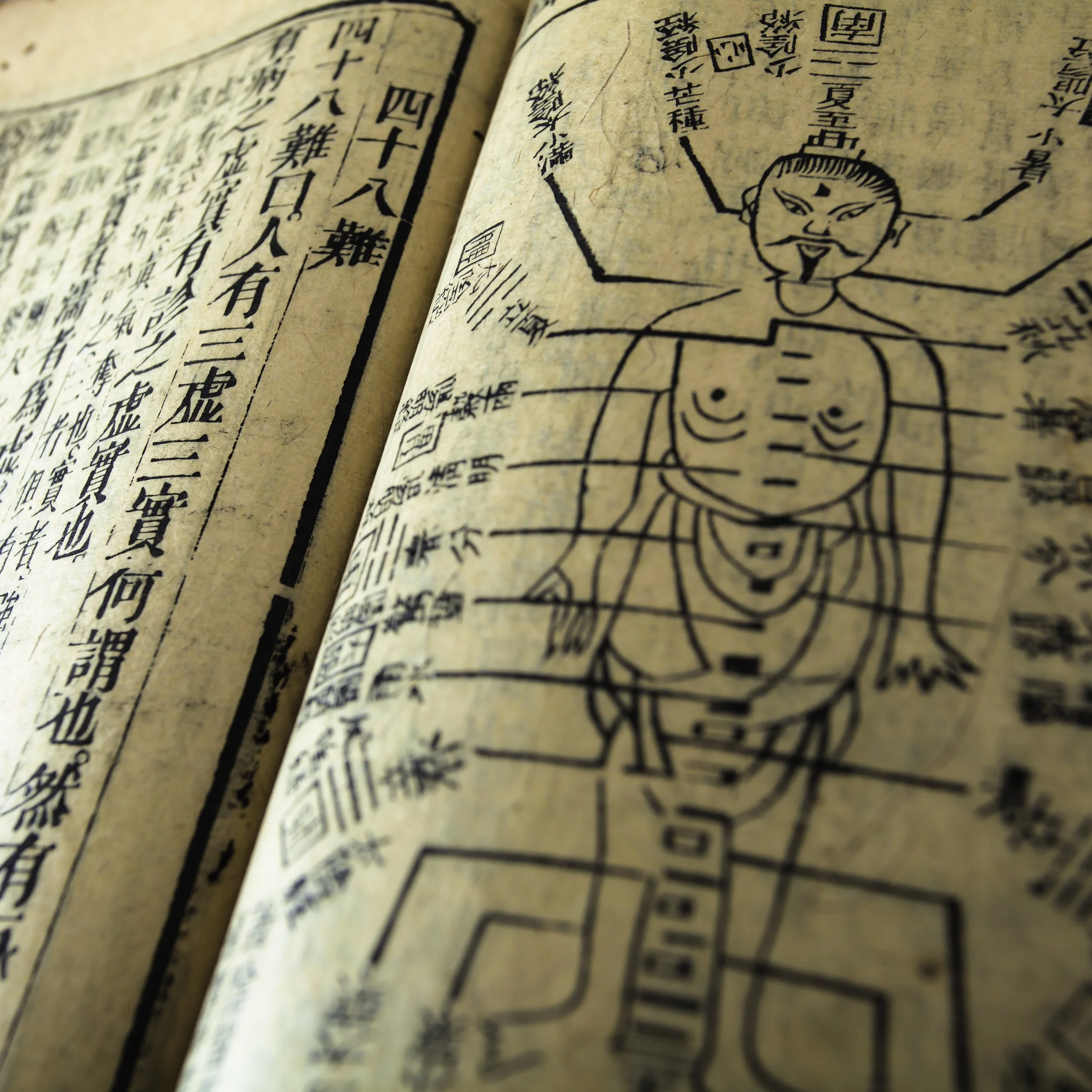 The Five Elements in Chinese Medicine explained…</span>