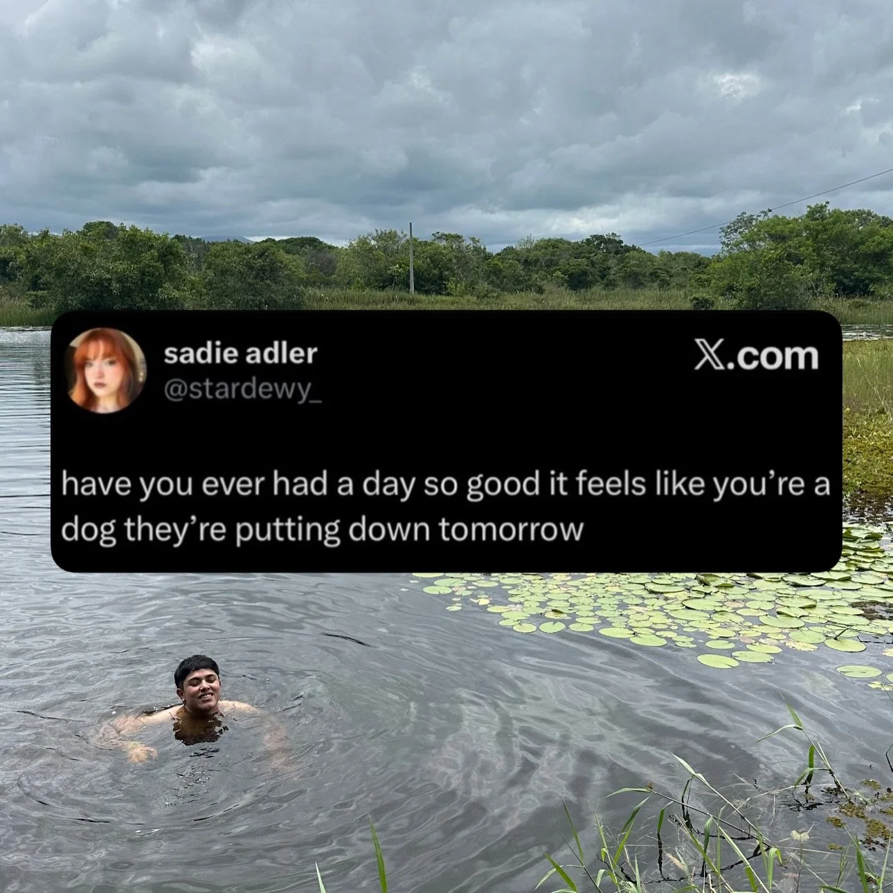That meme that says &ldquo;it wasn&rsquo;t someone throwing evil eye at me, it was my incredibly low iron levels&rdquo; 😂 attempting to crawl back from the deep hole of multiple years of ferritin levels at single digits. Go get your ferritin checked