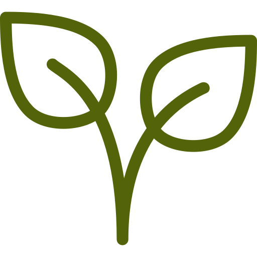 Green outline drawing of a sprouting plant with two leaves.