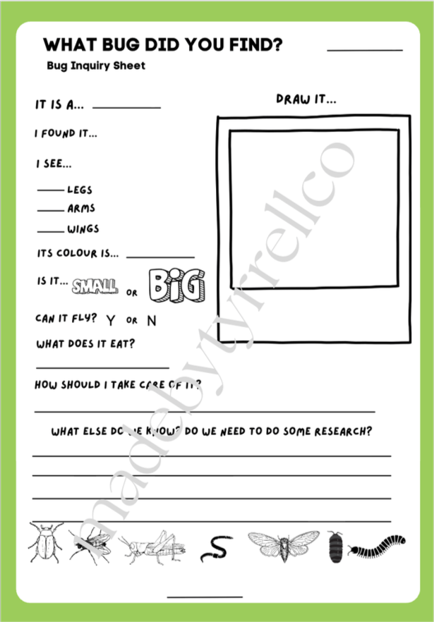 Bug Inquiry Questionnaire