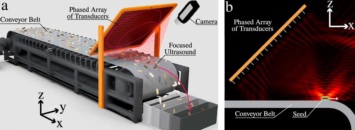 Diagram of a machine using focused ultrasound and phased array transducers to manipulate seeds on a conveyor belt with an inset showing the ultrasound wave pattern and seed position.