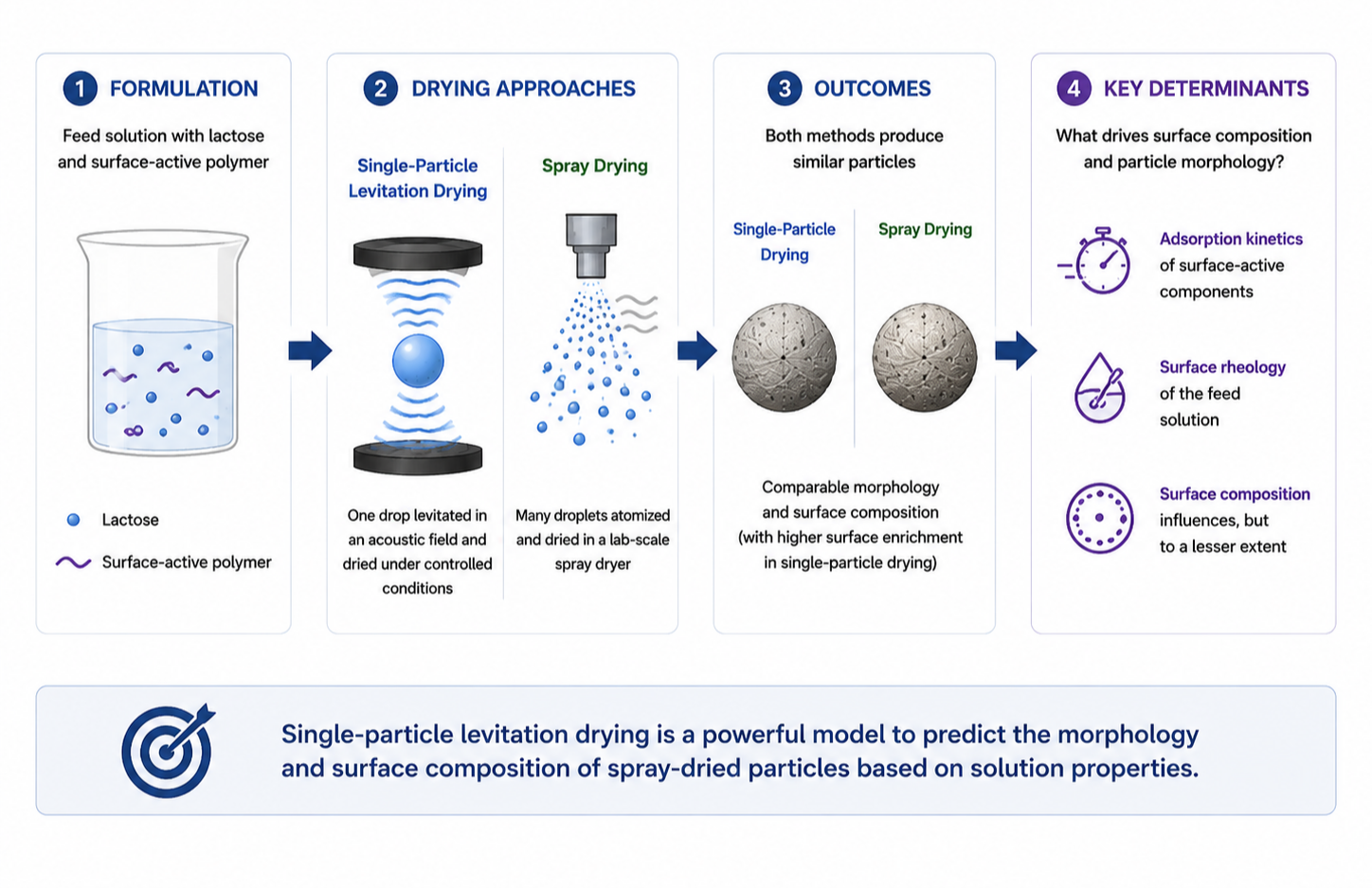 Diagram explaining the process of spray drying and single-particle levitation drying for producing spray-dried particles, including formulation with lactose and surface-active polymer, drying methods, outcomes, and key determinants like surface kinetics, rheology, and composition.