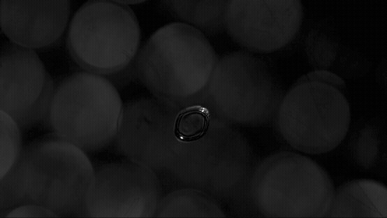 Close-up of a levitated droplet