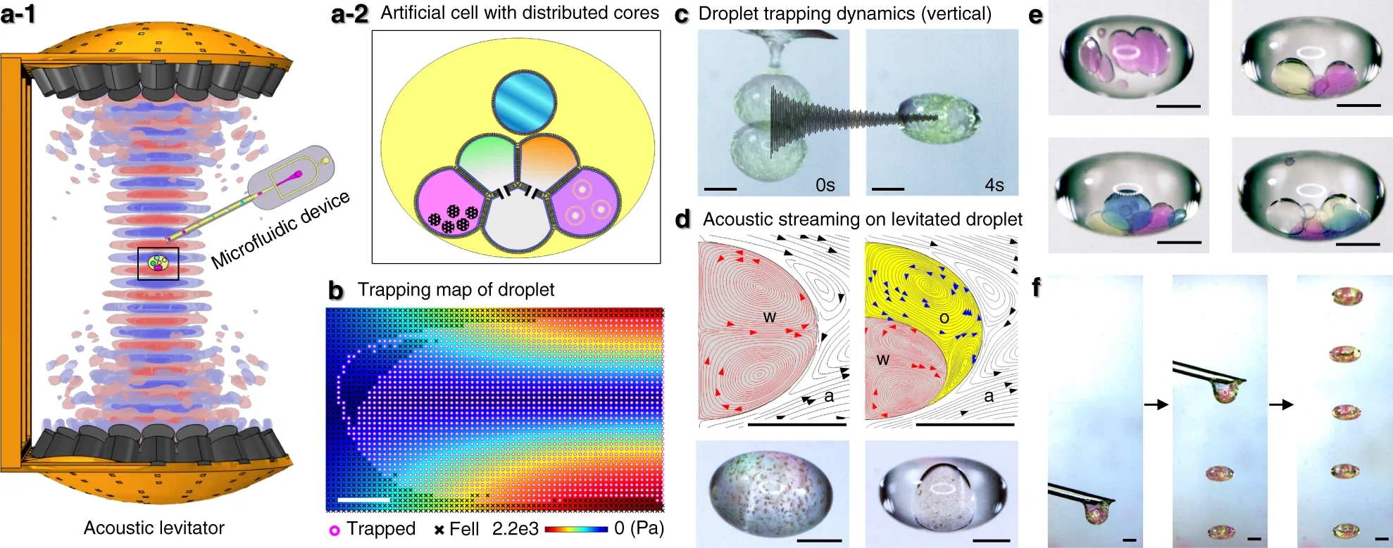 Diagram illustrating droplet trapping and manipulation techniques, including an acoustic levitator with a microfluidic device, a trapping map, an artificial cell with distributed cores, droplet trapping dynamics, acoustic streaming on levitated droplets, and images of droplets with various internal structures.